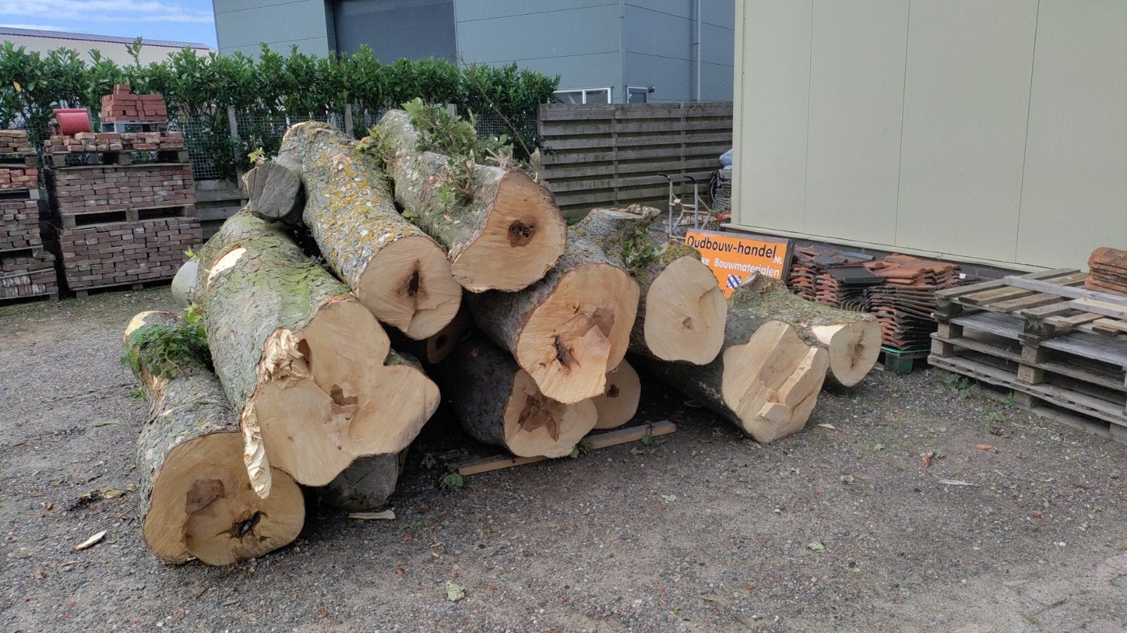 GEZOCHT Brandhout Fryslân hout stammen gevraagd, Tuin en Terras, Ophalen