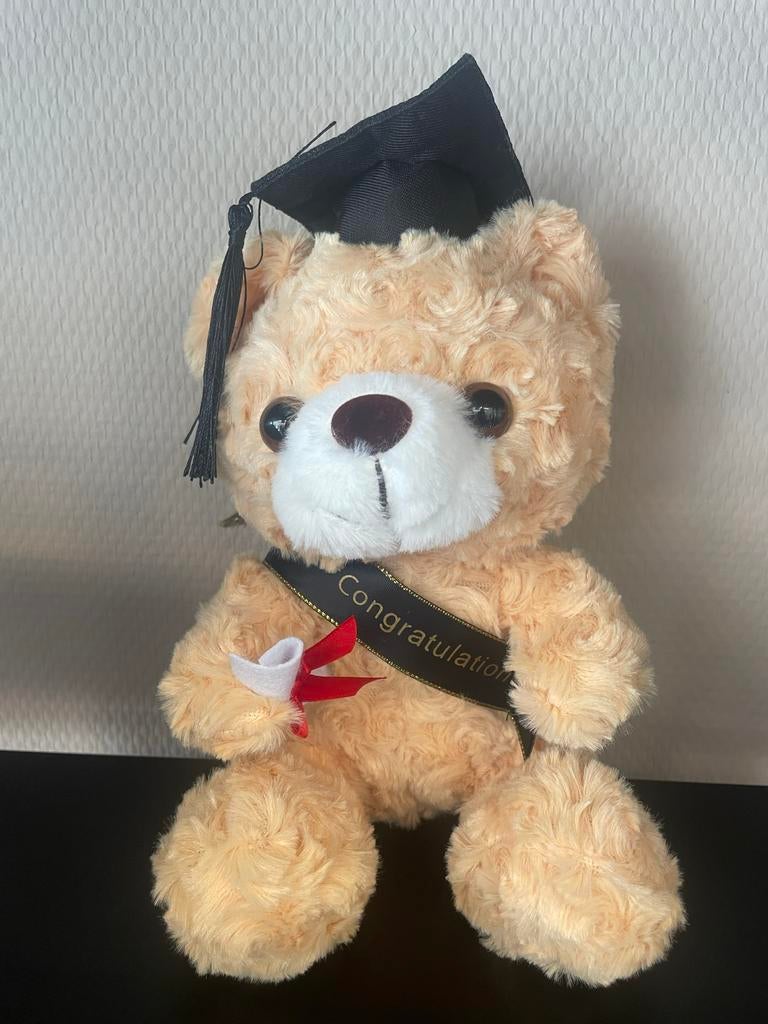 Geslaagd Teddybeer met Afstudeerhoed en Diploma, Ophalen of Verzenden, Zo goed als nieuw, Beer