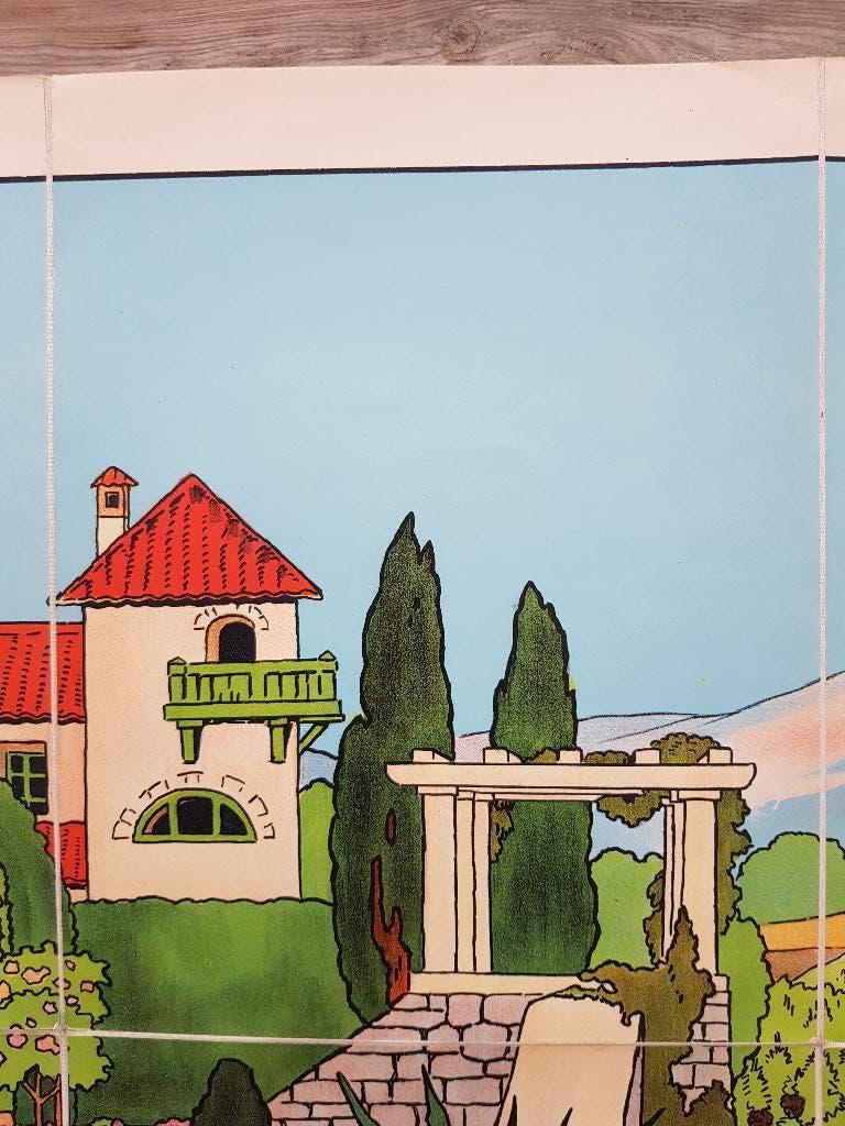 Druivenpluk oude schoolplaat uit Frankrijk litho op canvas., Ophalen of Verzenden