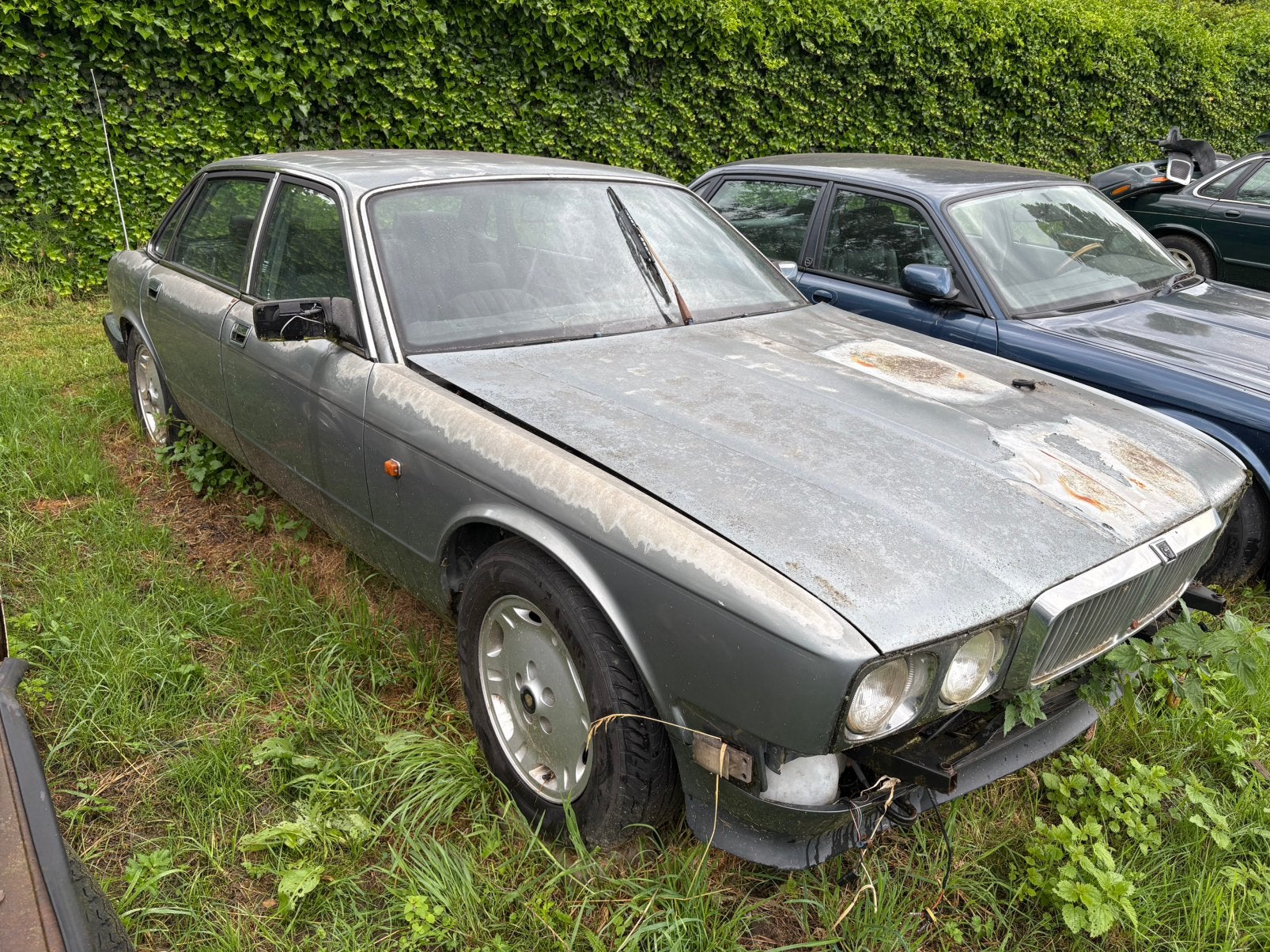 Jaguar xj40 handgeschakeld getrag!!!!, Particulier, Te koop
