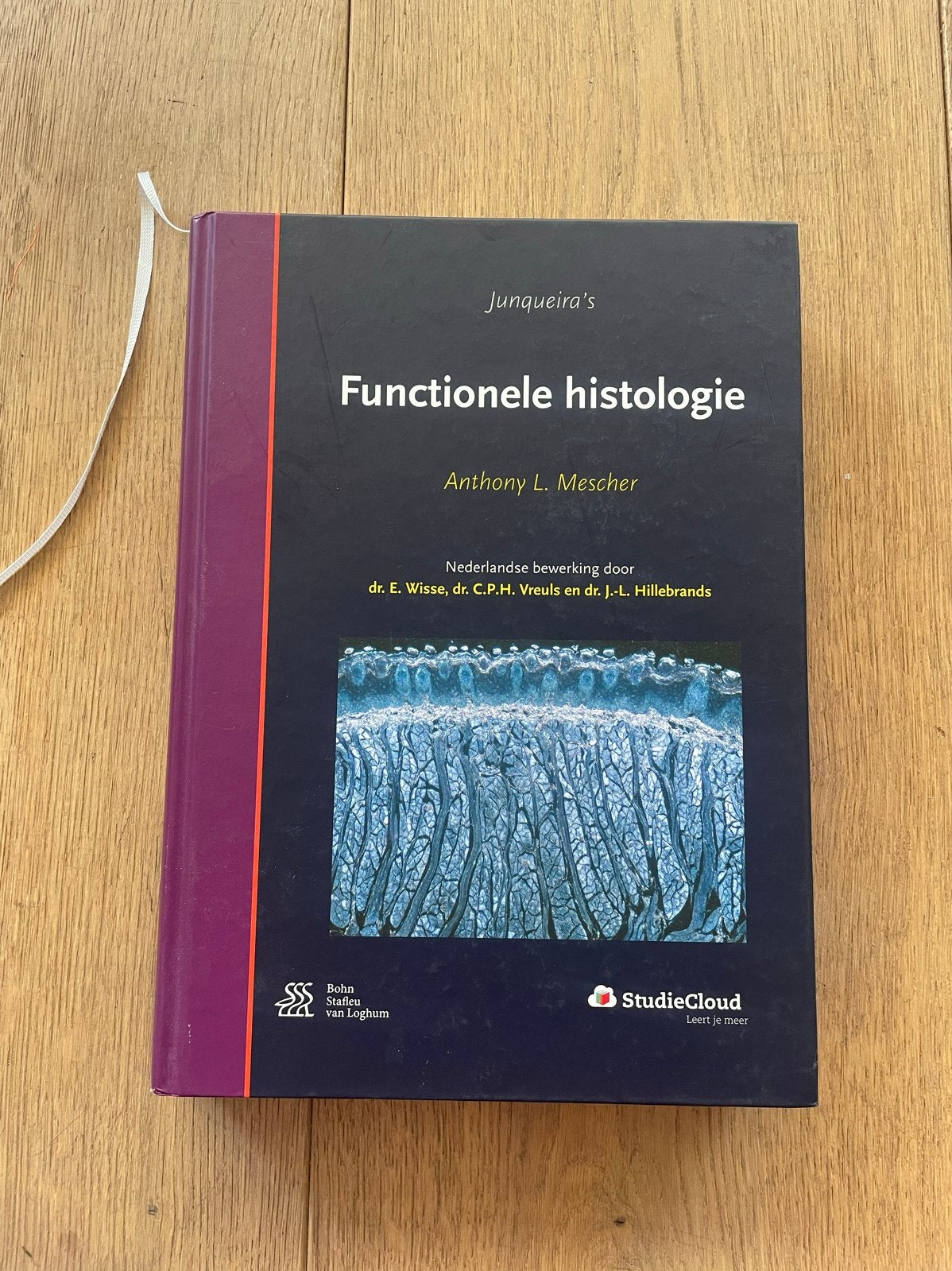 Junqueira's Functionele Histologie - Anthony L. Mescher, Boeken, Ophalen of Verzenden, Beta, Zo goed als nieuw, WO