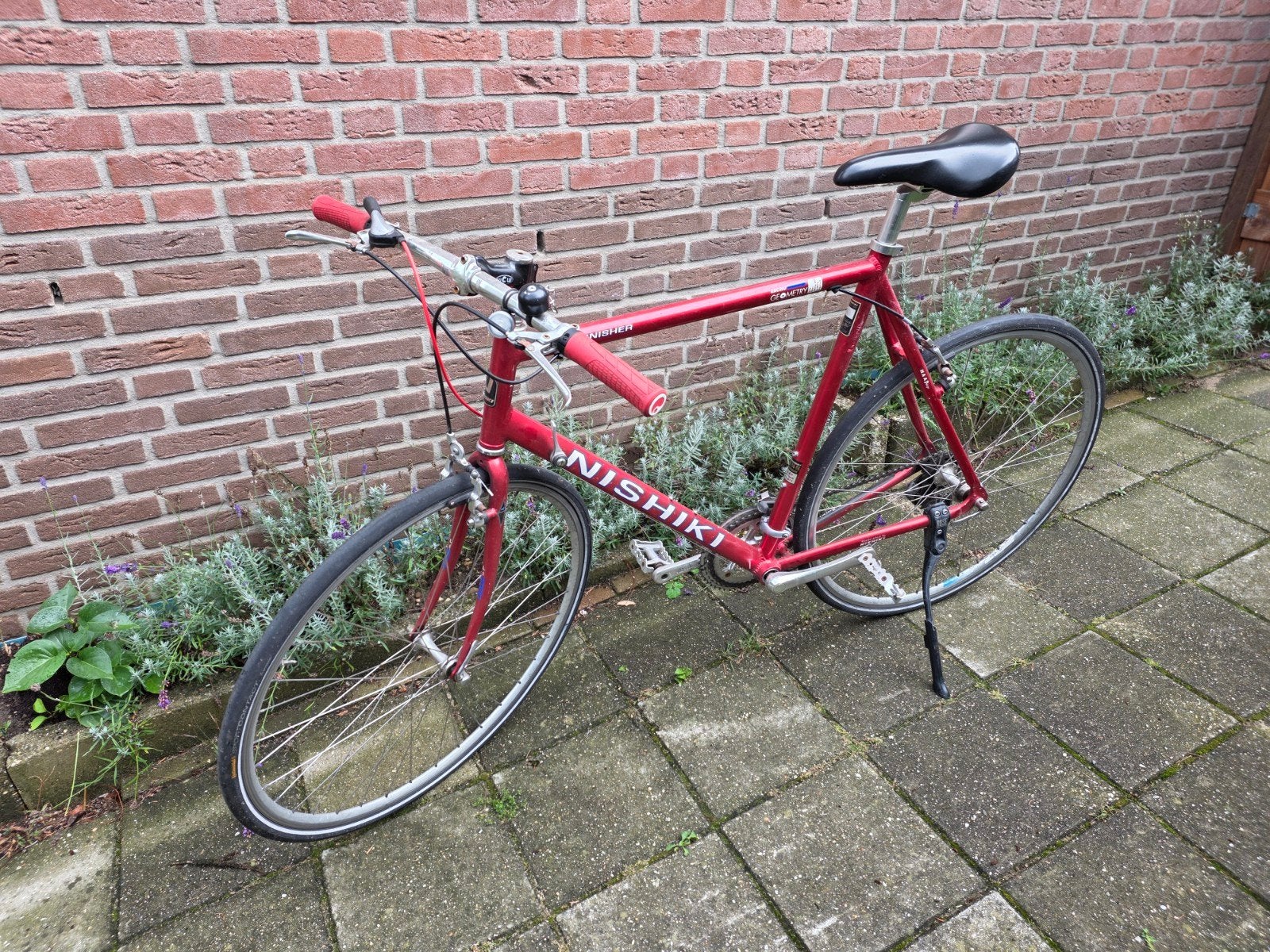 Nishiki race- en stadsfiets, Gebruikt, Velgrem, Versnellingen, 53 tot 57 cm