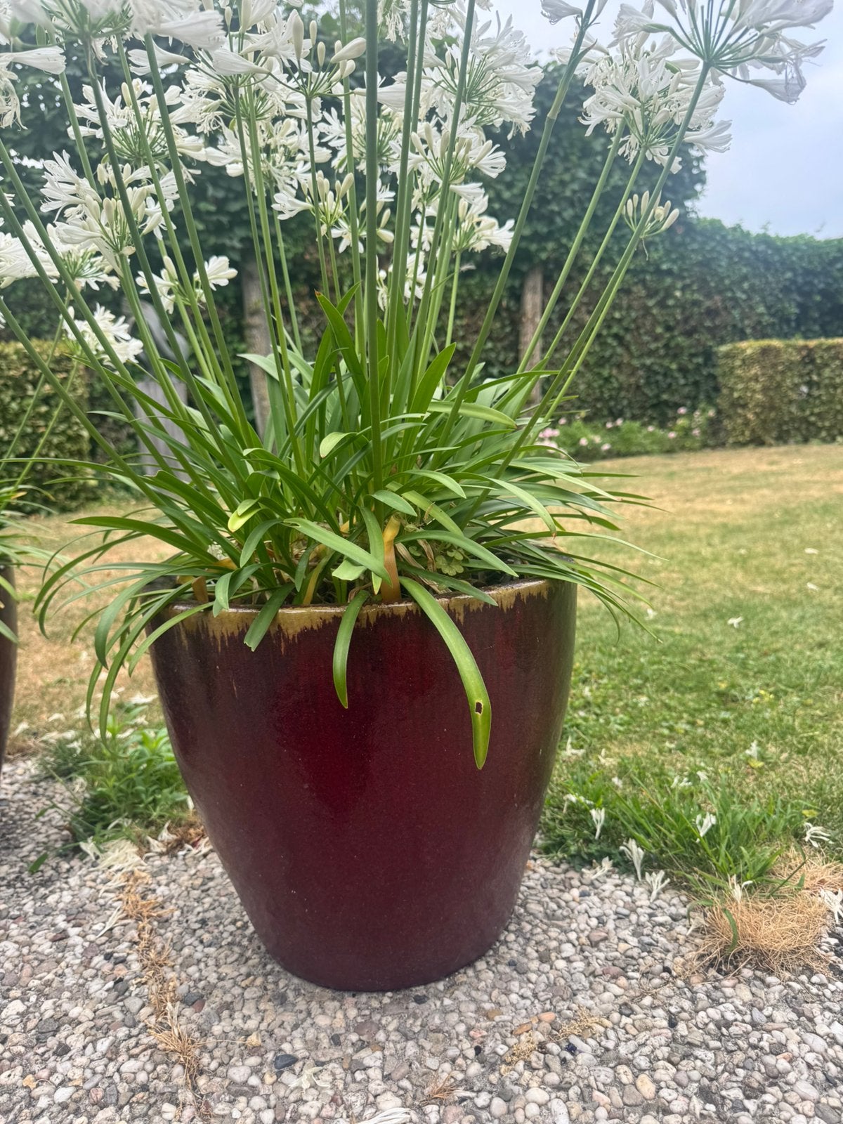 2 rode bloempotten aardewerk, Ophalen, 40 cm of meer, Rond, Zo goed als nieuw