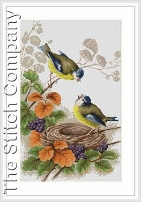 Borduurpakket Vogels met nest B215, Geen, Geen, Nieuw, Ophalen of Verzenden