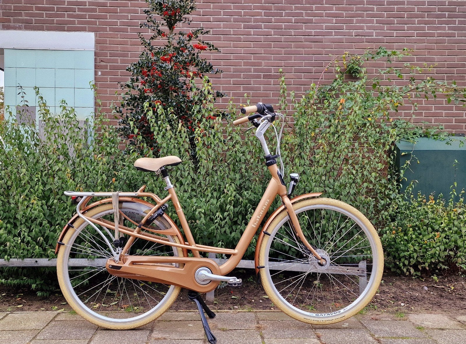 Batavus Mambo dames/mamafiets
Nexus 7v.

Eventueel met bobik, Fietsen en Brommers, Ophalen, 1 zitje, Gebruikt, Batavus