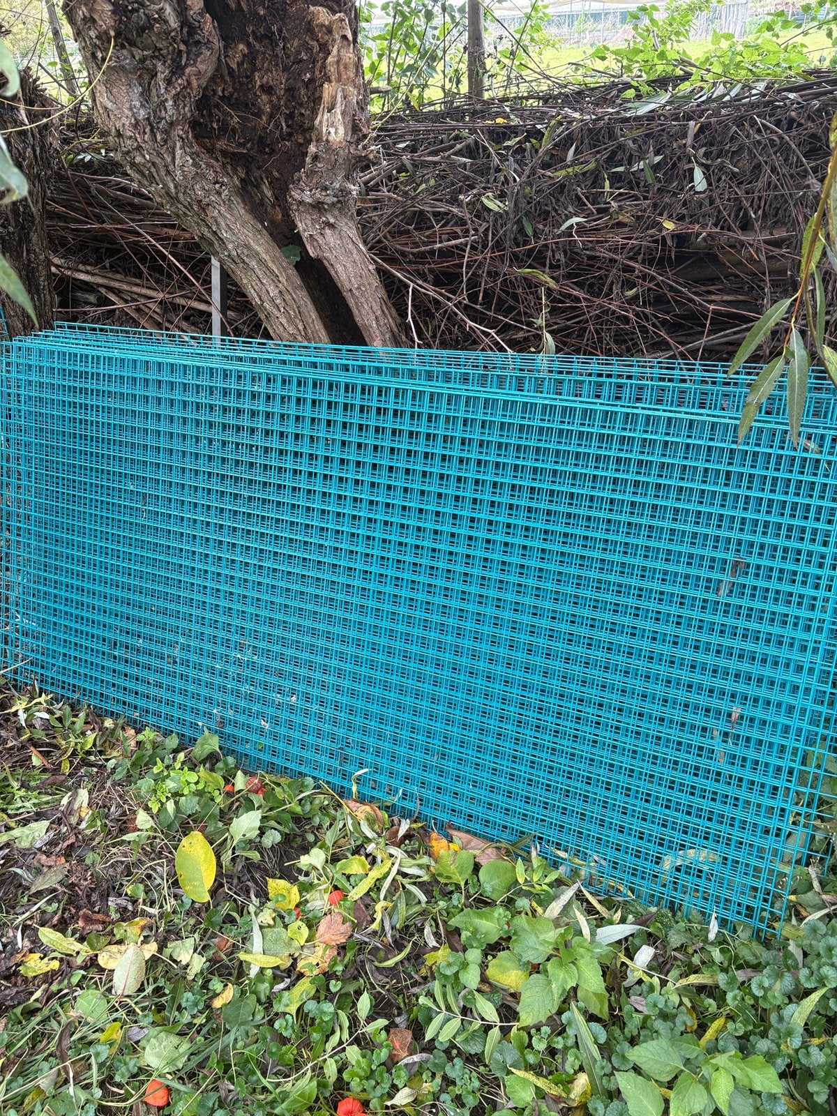20 stuks geplastificeerd gaas groen, Ophalen, Gebruikt, IJzer