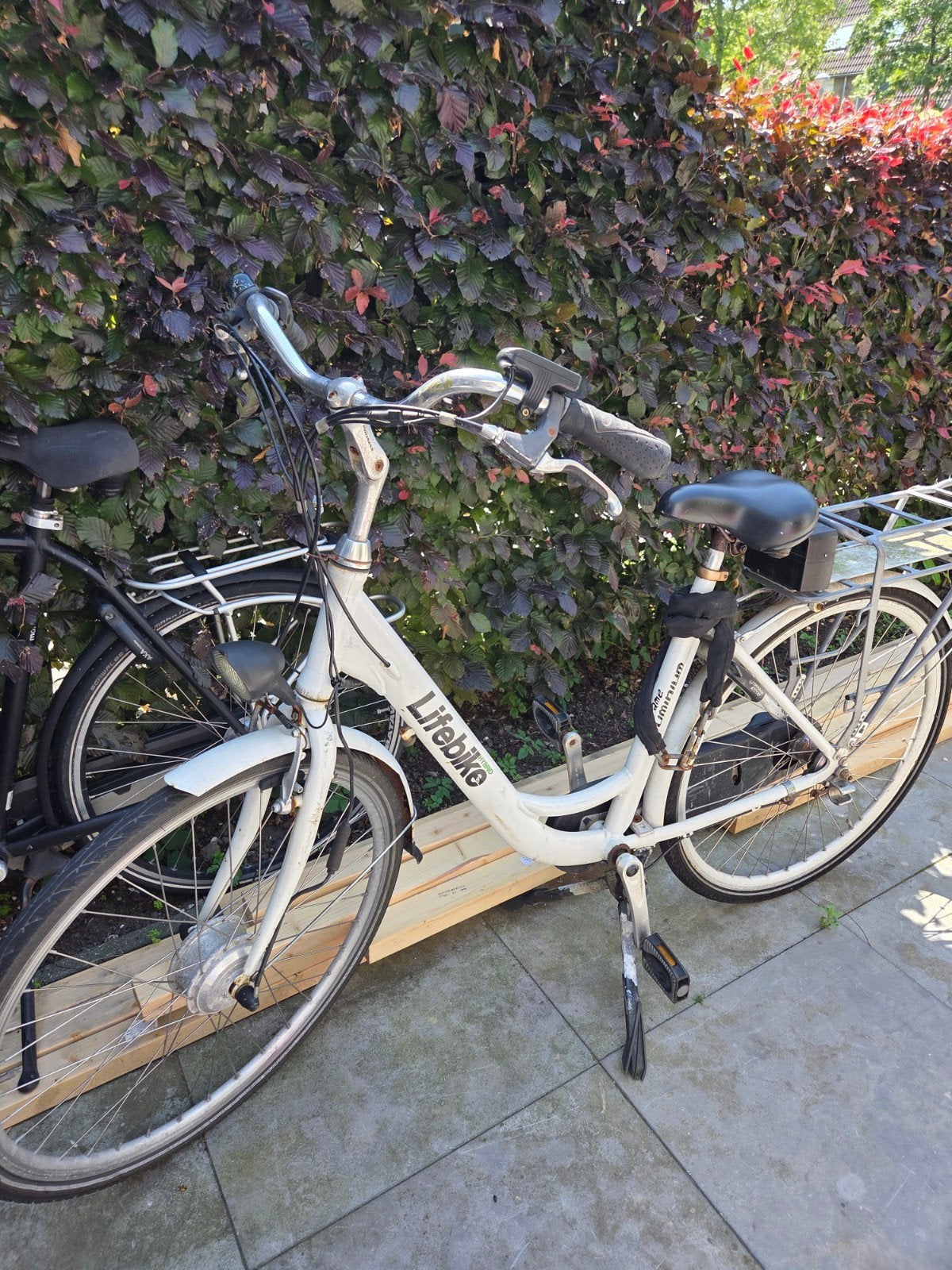Lifebike damesfiets - Wit, gebruikt, Fietsen en Brommers, Fietsen | Dames | Damesfietsen, Overige merken, Velgrem, Ophalen of Verzenden