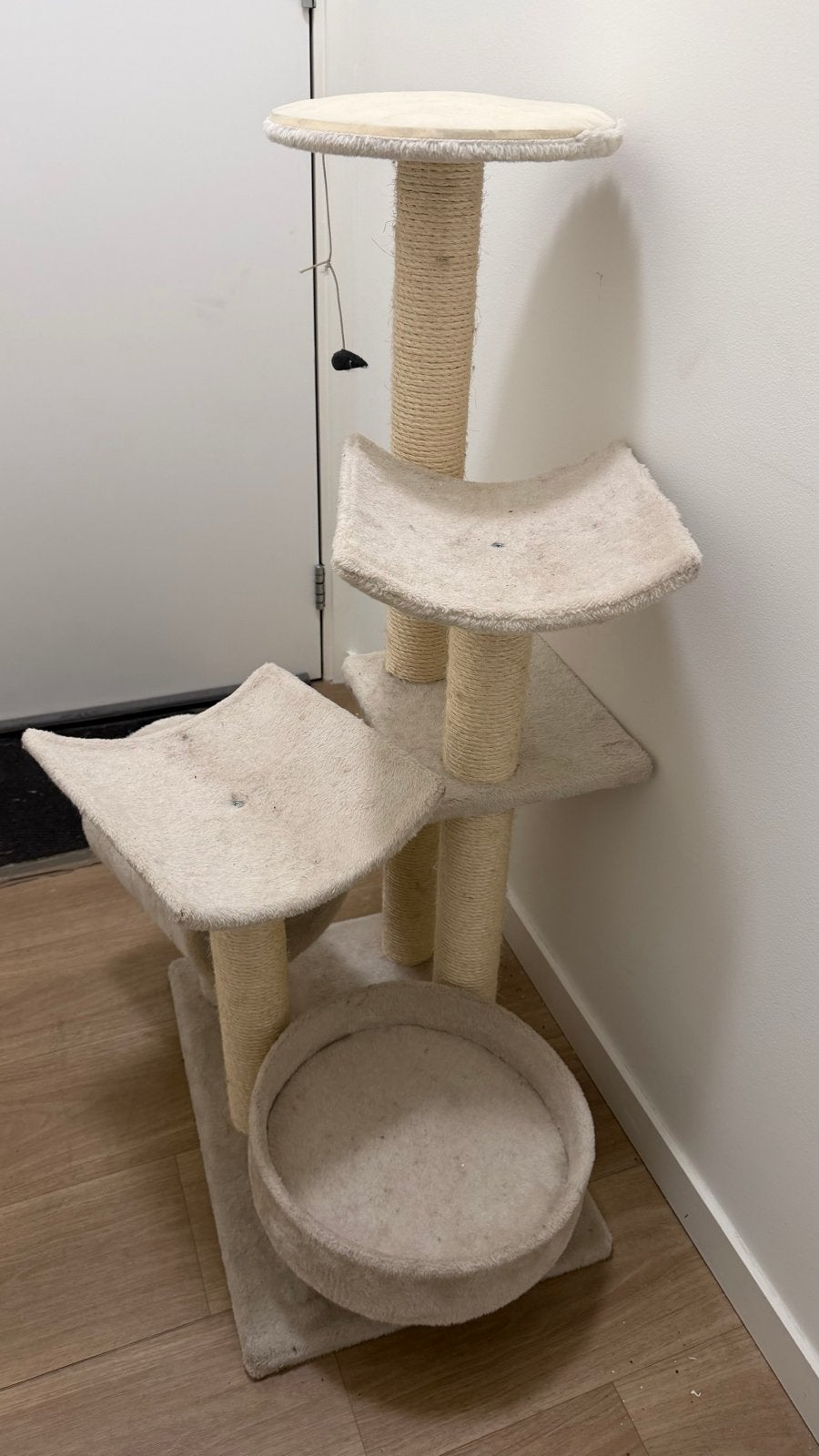 Mooie krabpaal idiaal voor kleine katten, Ophalen