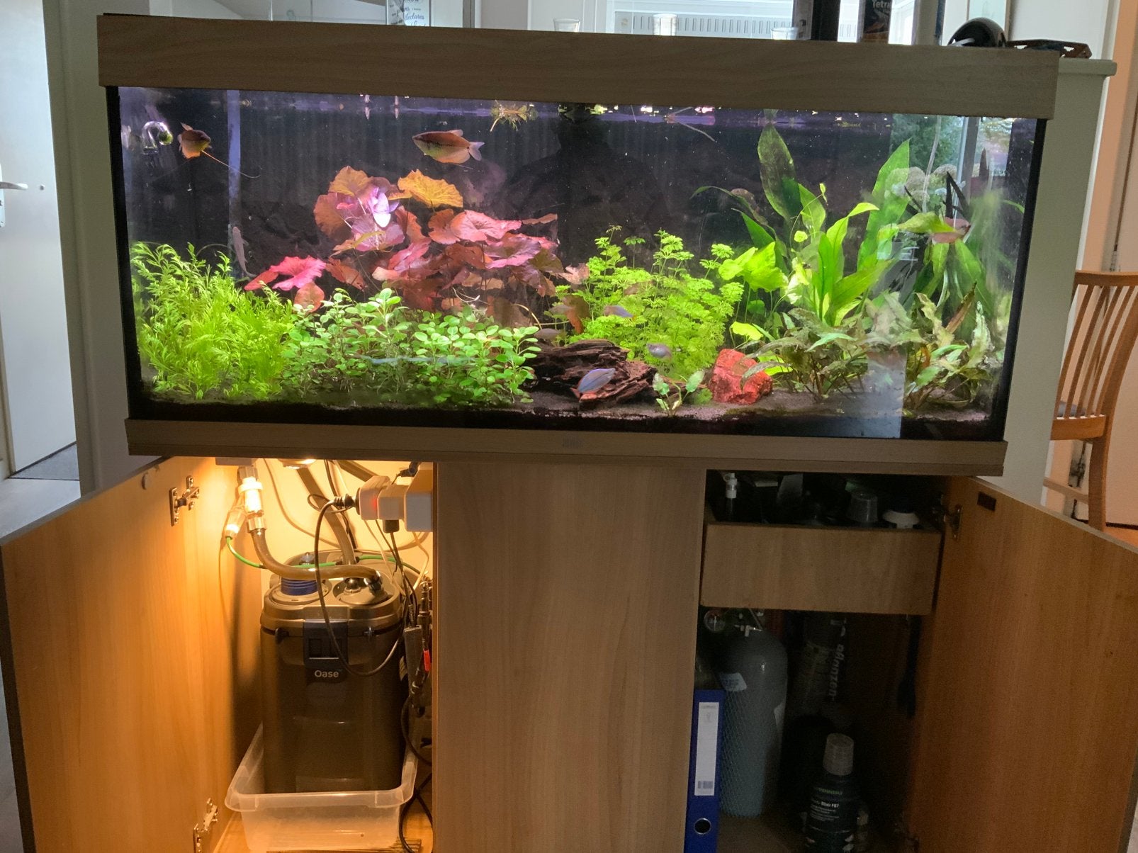 Juwel aquarium compleet, Dieren en Toebehoren, Ophalen, Gebruikt, Gevuld zoetwateraquarium, Inclusief vissen