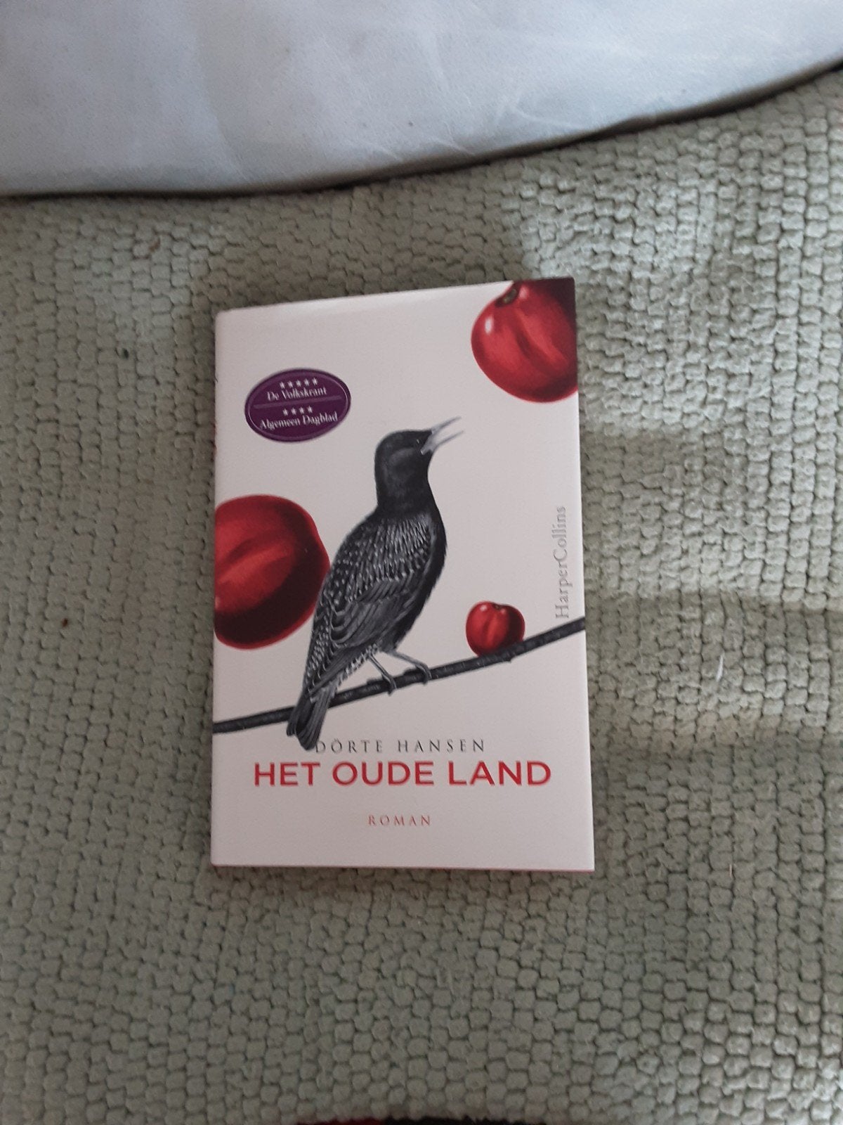 Dörte Hansen-----Het oude land, Europa overig, Ophalen of Verzenden, Zo goed als nieuw, Dörte Hansen