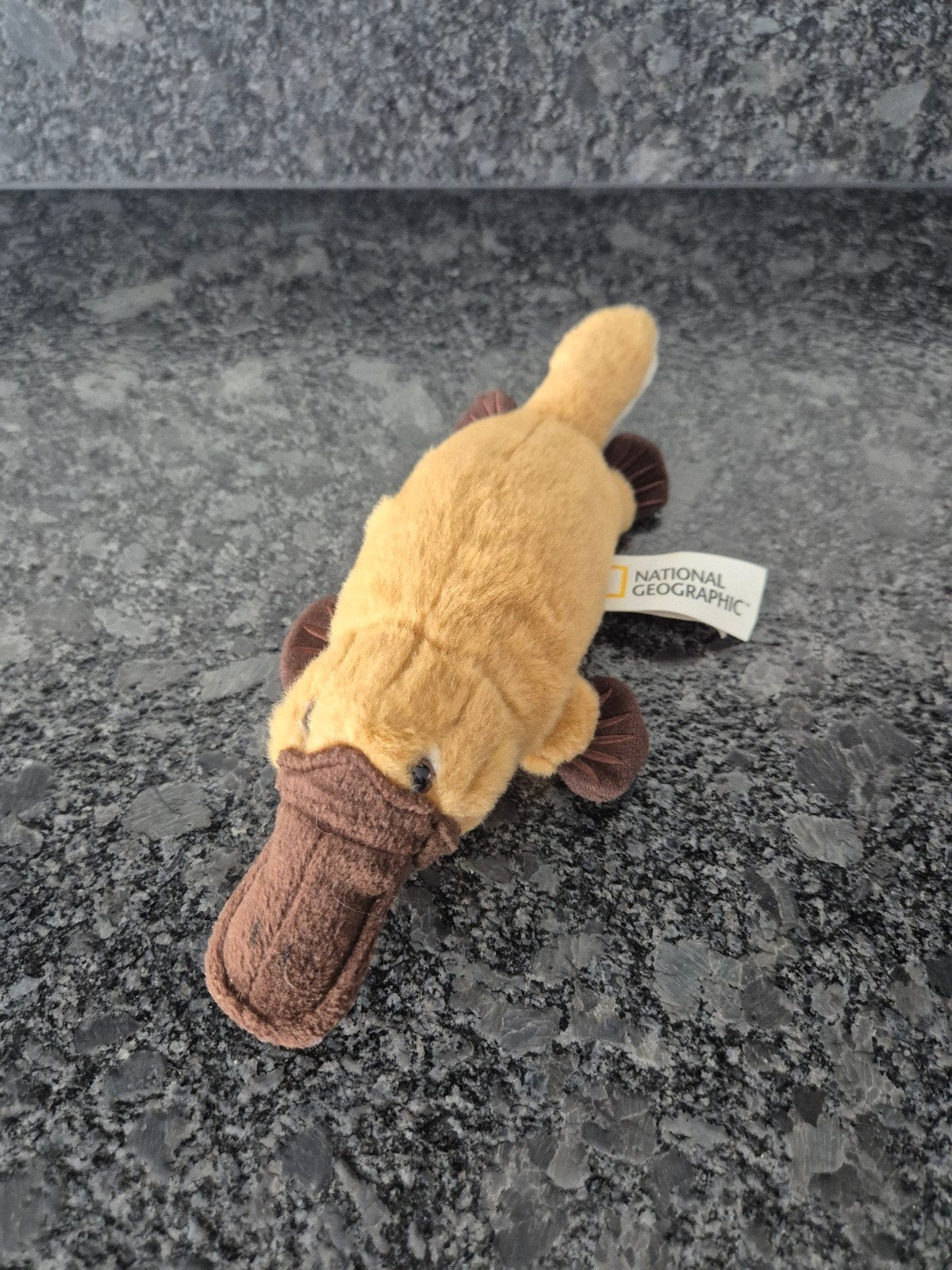 National Geographic / LELLY - Knuffel Vogelbekdier, Ophalen of Verzenden, Overige typen