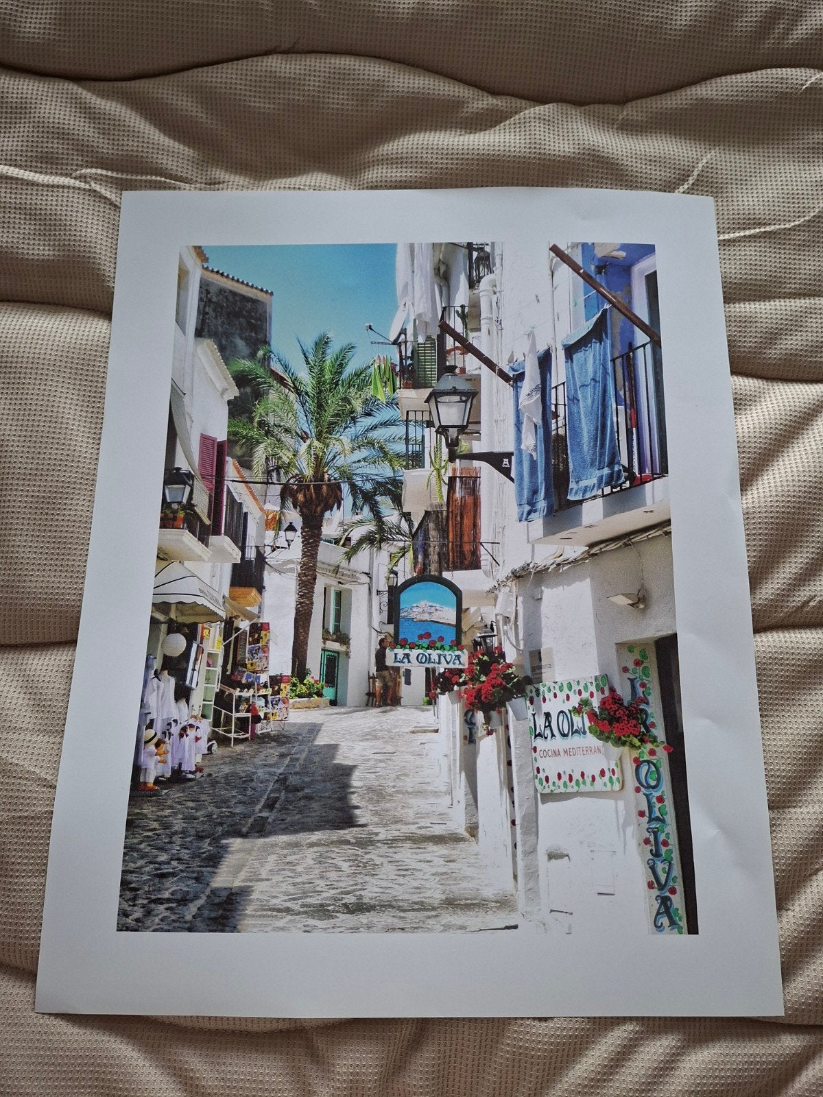 Mooie poster 50 x 40 cm - Straatje met palmbomen, Ophalen of Verzenden, Nieuw, Rechthoekig Staand, Overige onderwerpen