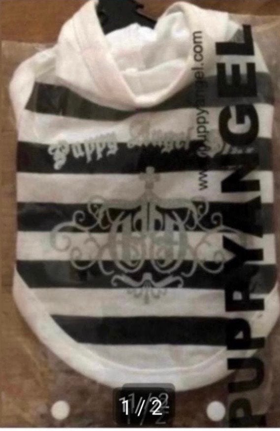 Shirt hoody 2xxl  puppy angel, Ophalen of Verzenden, Nieuw, Hondenshirt