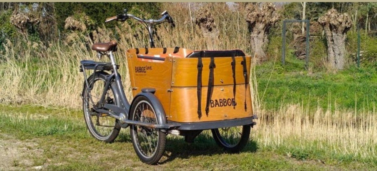 Babboe Curve bakfiets – met accessoires – klusproject / opkn, 4 kinderen of meer, Gebruikt, Huif, Ophalen
