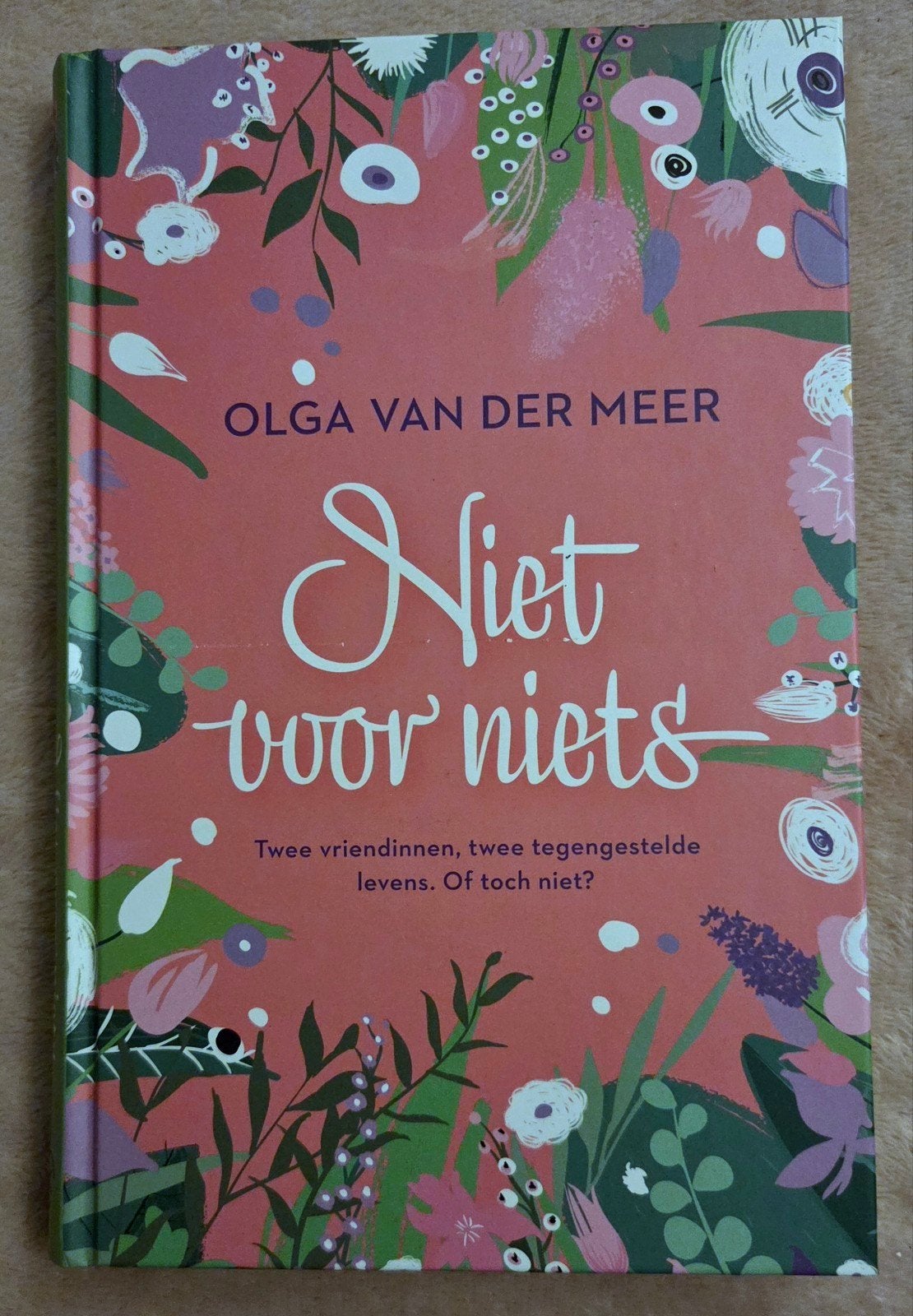 Olga van der Meer - Niet voor niets, Noord-Brabant, Ophalen of Verzenden, Zo goed als nieuw, Olga van der Meer