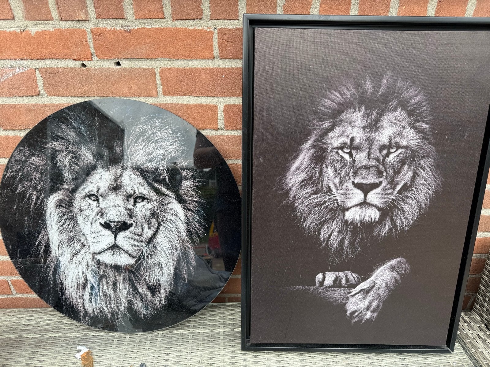 Set van 2 Leeuwen schilderijen: Rond en Rechthoekig, Ophalen, Zo goed als nieuw, Print, 50 tot 75 cm