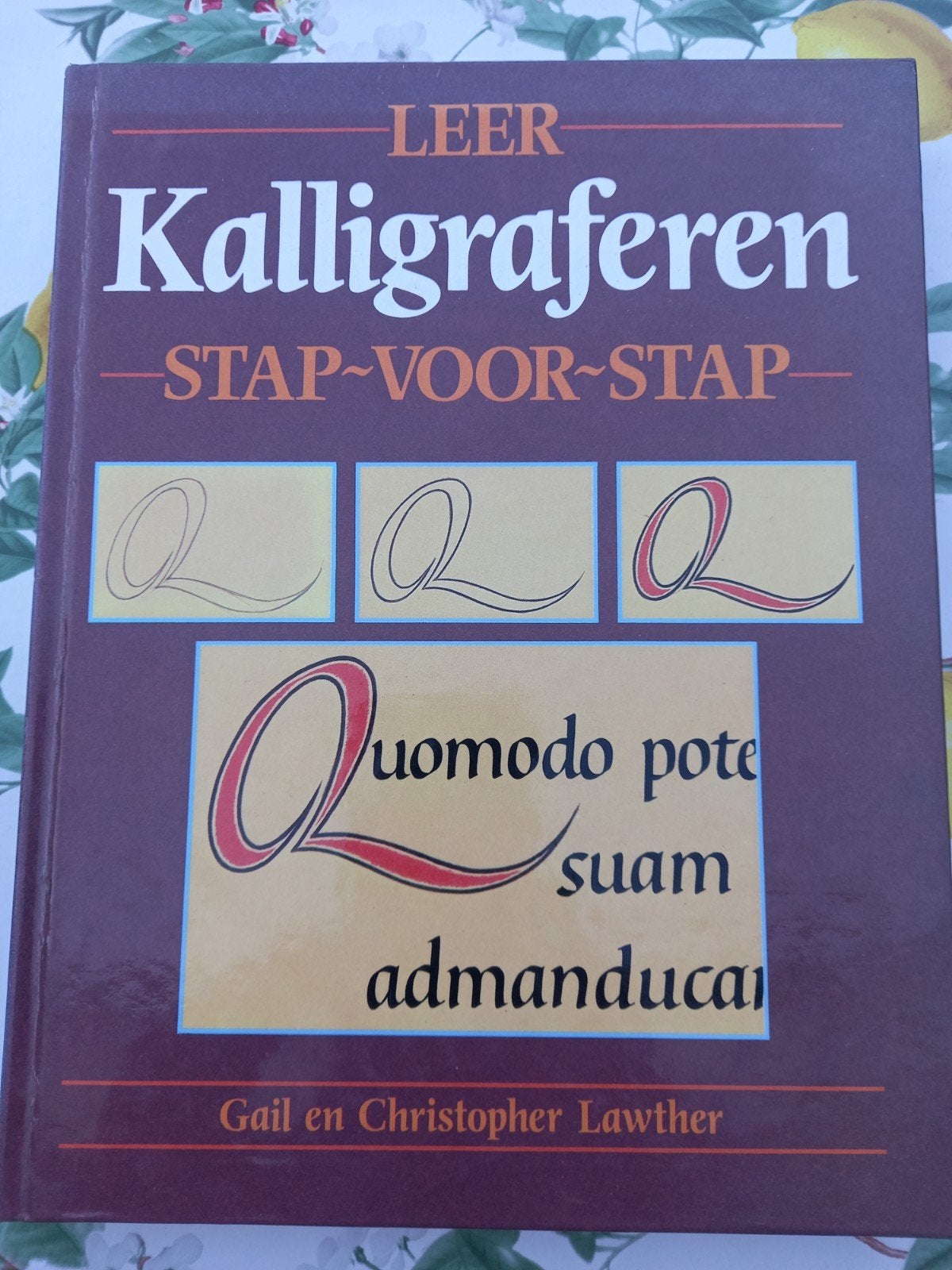 Leer Kalligraferen Stap-voor-Stap m14, Ophalen of Verzenden, Gelezen, Overige onderwerpen, Gail en Christopher Lawther