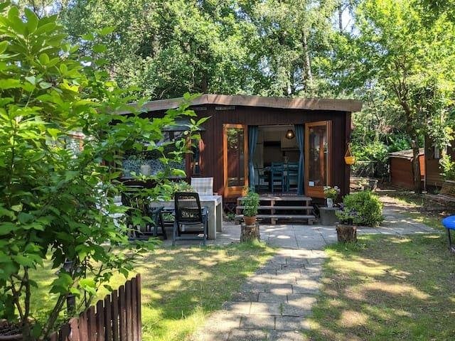 Chalet van RedCedar hout te koop(vaste standplaats Kempenbos, Tot en met 4