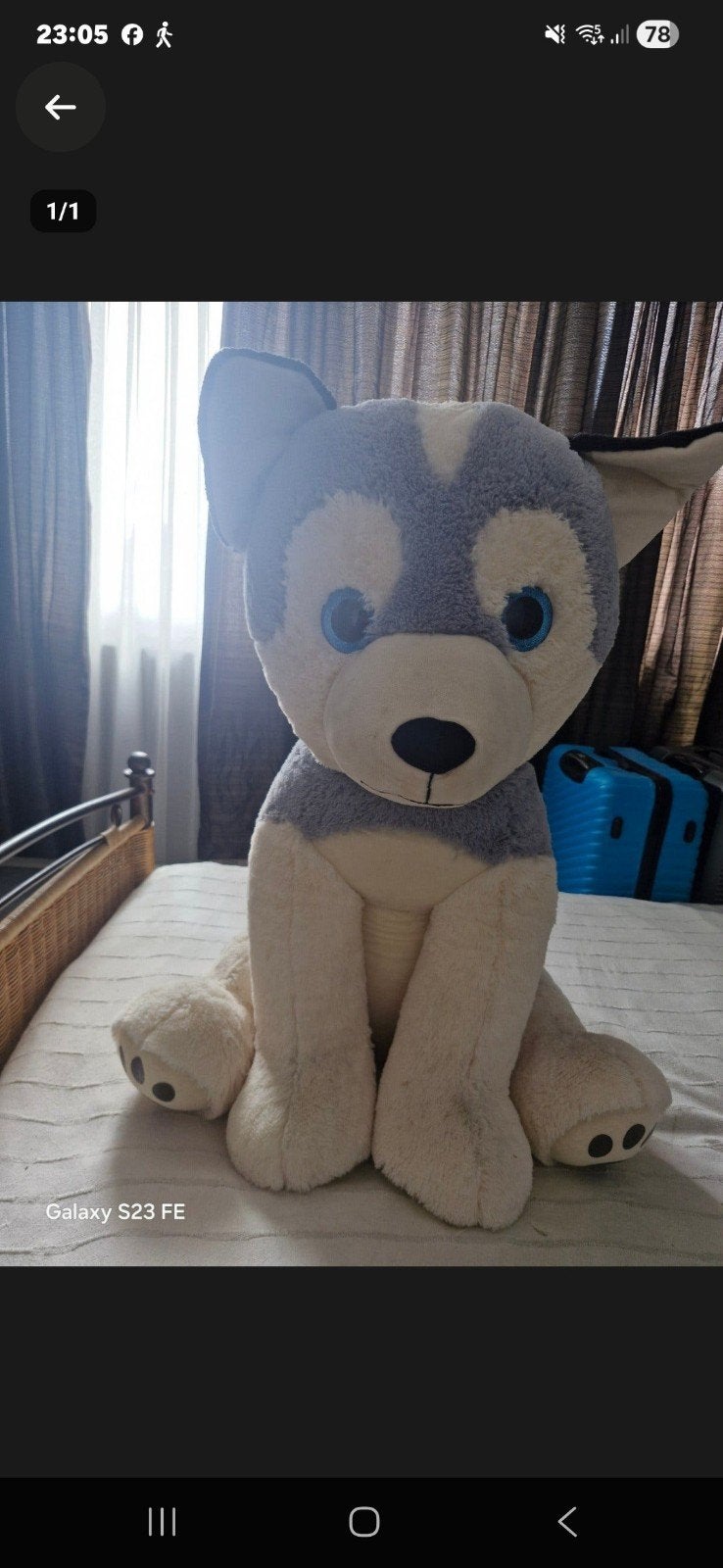Grote Husky knuffel - Zo goed als nieuw, Grijs, Zo goed als nieuw, Middelgroot (20 tot 80 cm), Hond