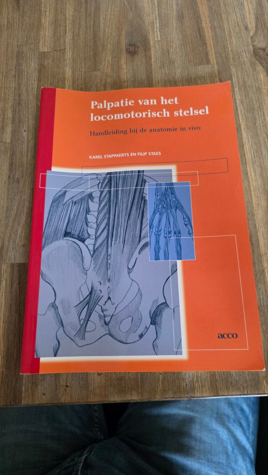 Palpatie van het locomotorisch stelsel - Anatomie in vivo, Boeken, Zo goed als nieuw, Karel Stappaerts en Filip Staes, Beta, HBO