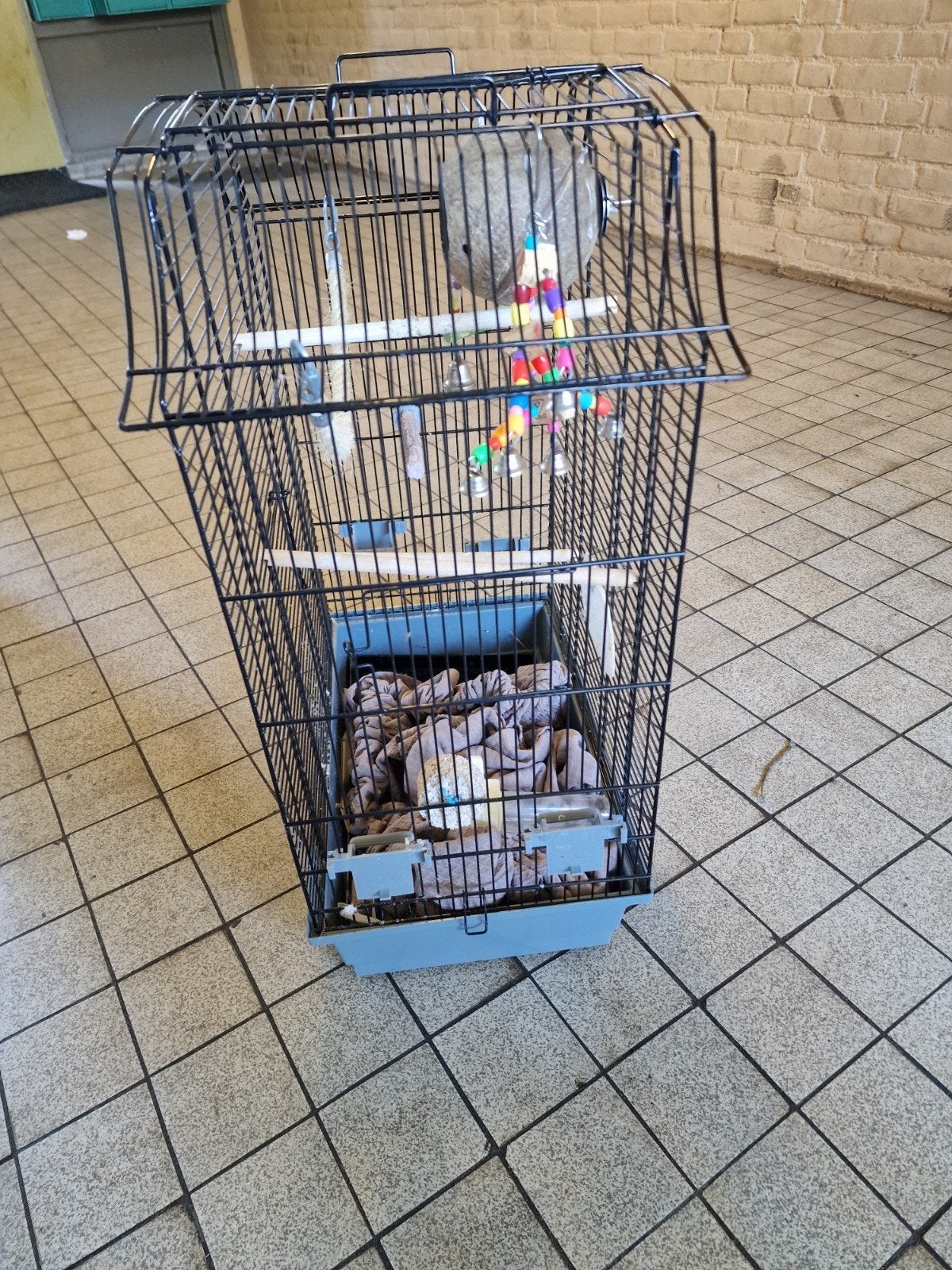 Vogel kooien voor papagaai, agapornis en voor andere soorten, Ophalen, Zo goed als nieuw, Metaal, Vogelkooi
