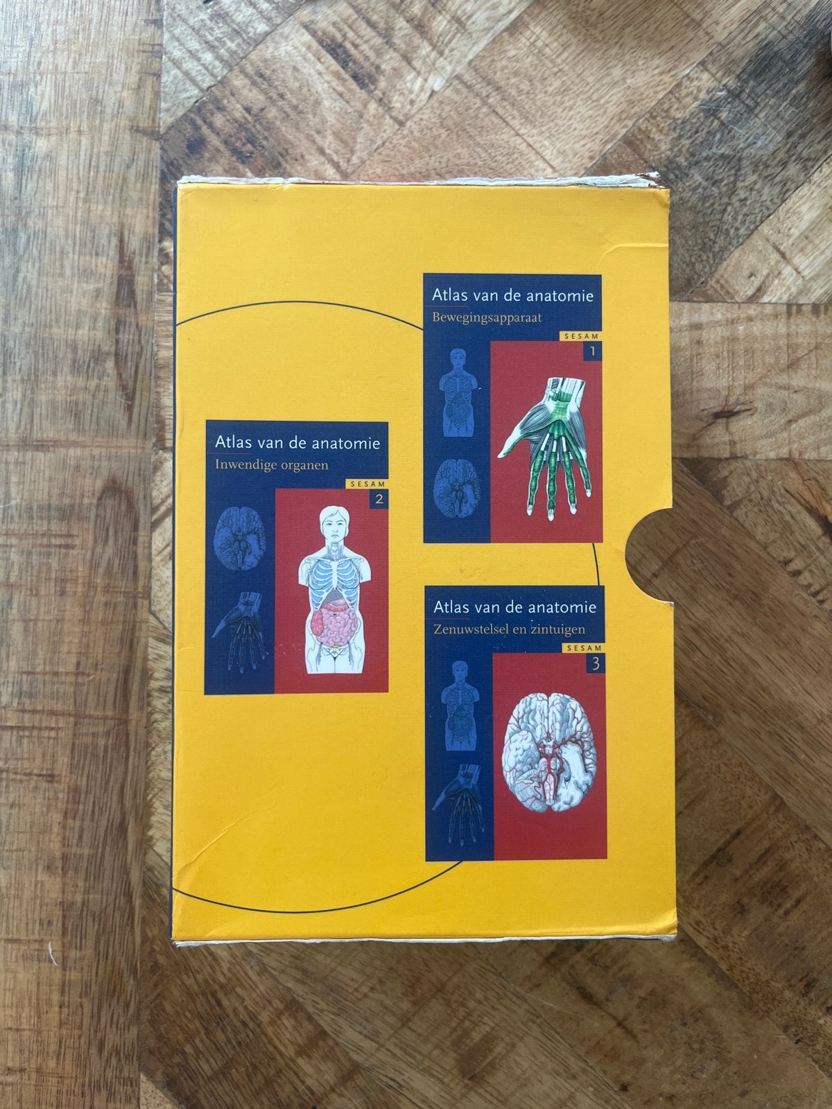 Nieuw:Atlas van de anatomie - Complete set (3 delen), Ophalen of Verzenden, Beta, Gelezen, HBO