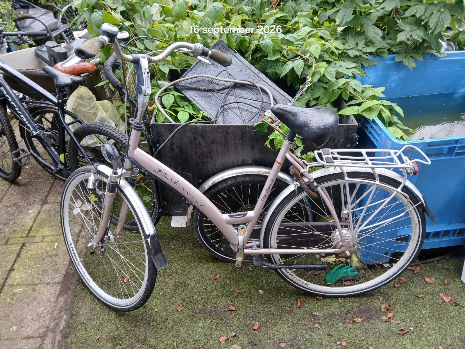 Batavus fiets, Ophalen, Gebruikt, Batavus Padova