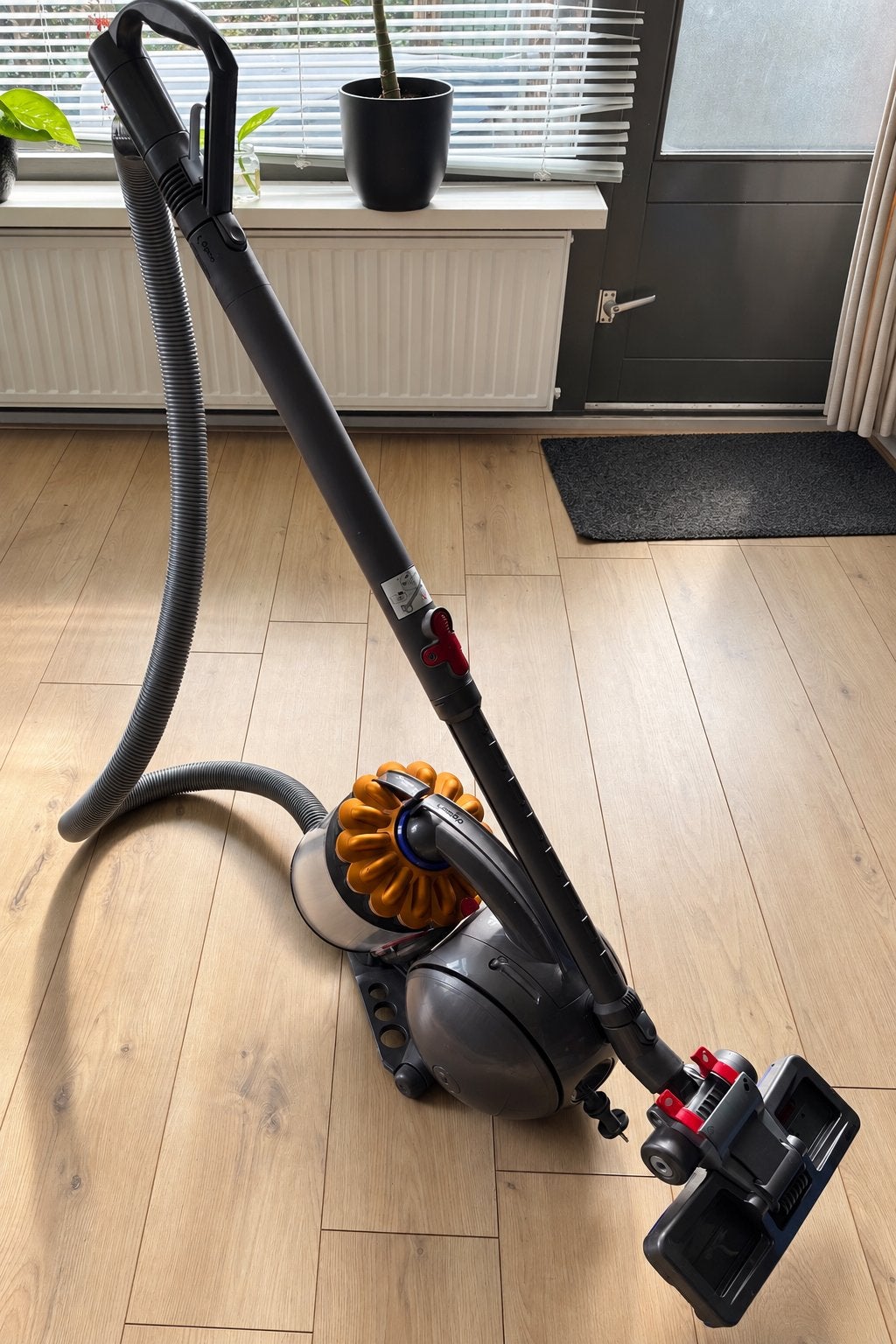 Dyson Ball DC37c Parquet stofzuiger