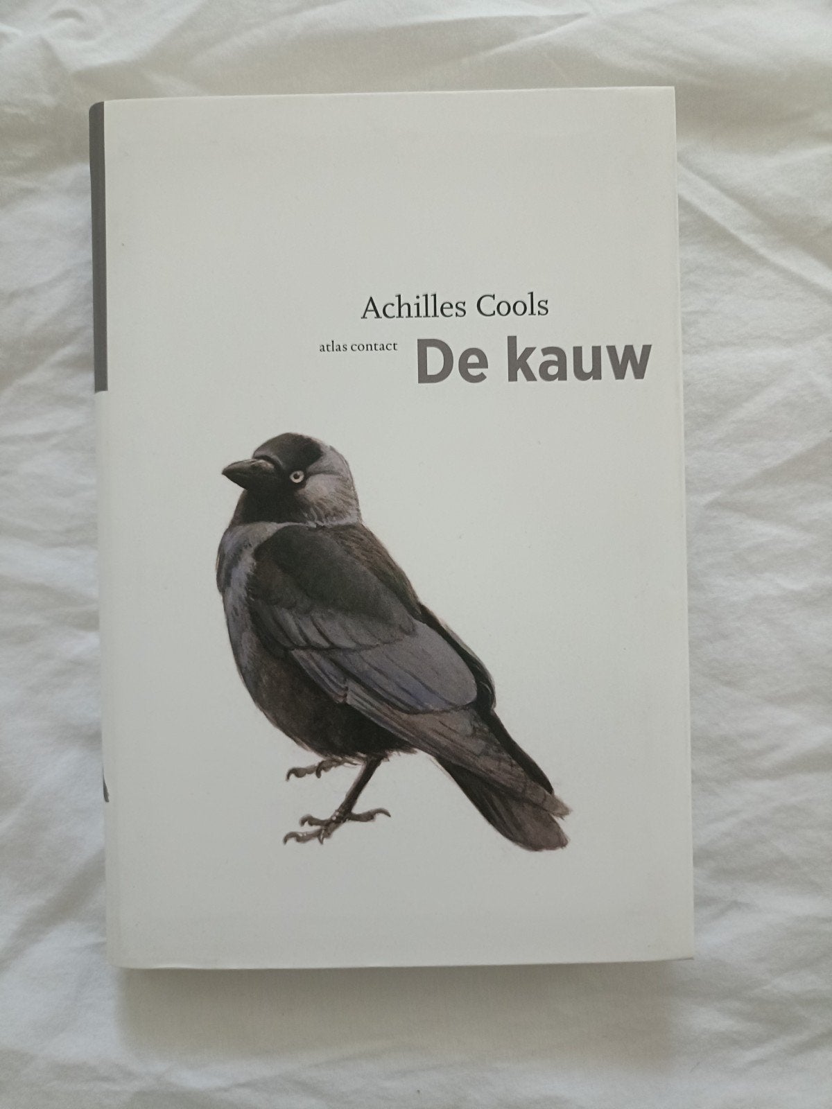 De kauw - Achilles Cools (Boek), Boeken, Literatuur, Zo goed als nieuw, Nederland, Ophalen of Verzenden