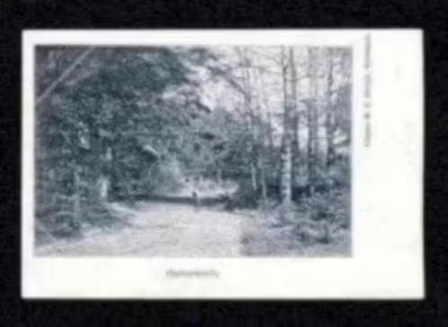Oosterbroek Eelde Bosweg Ong. 1900., Ophalen of Verzenden, Voor 1920, Ongelopen, Drenthe