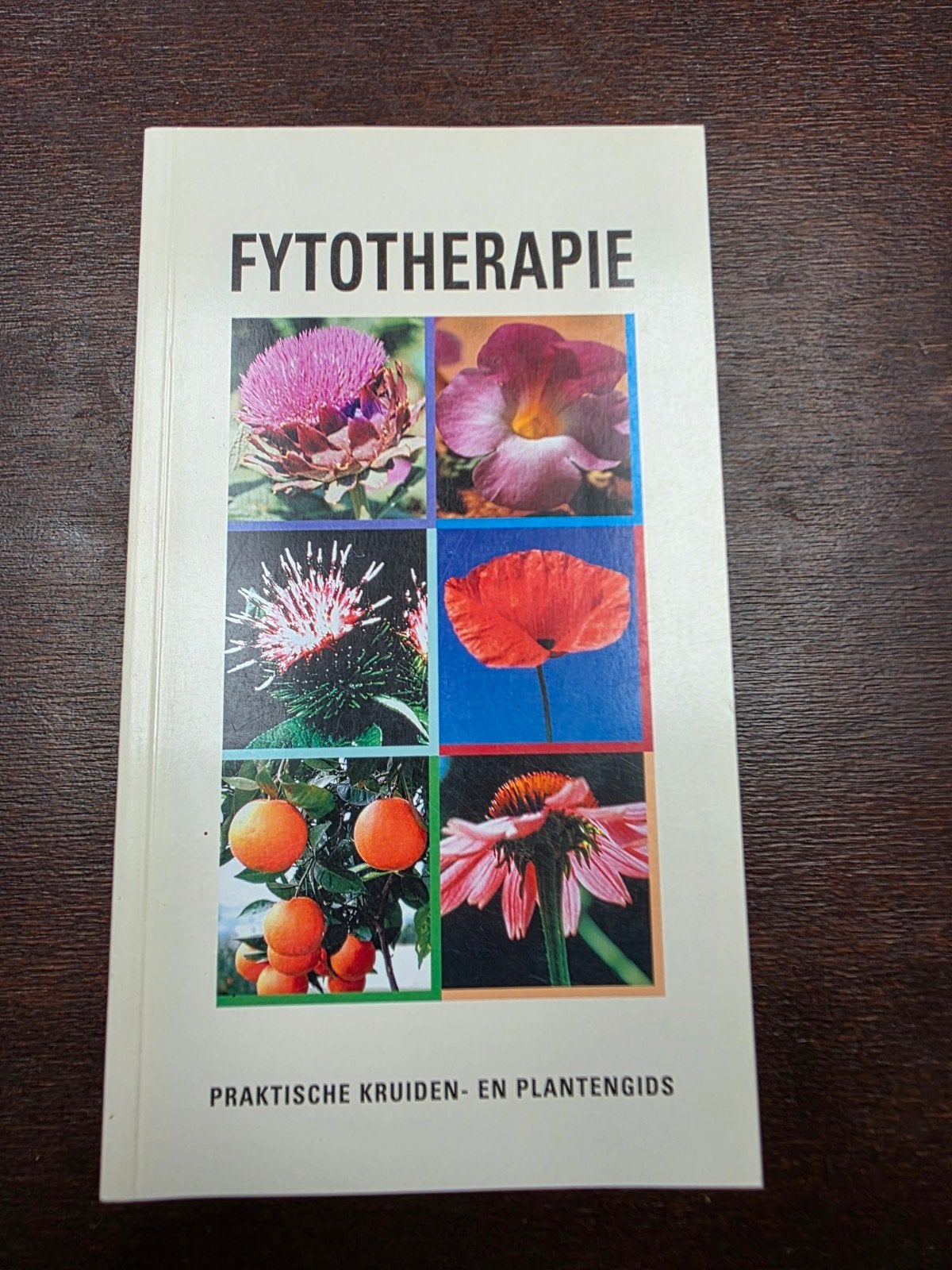 Fytotherapie - Kolektiv - praktische kruiden- en plantengids, Ophalen of Verzenden, Zo goed als nieuw, Kruiden en Alternatief