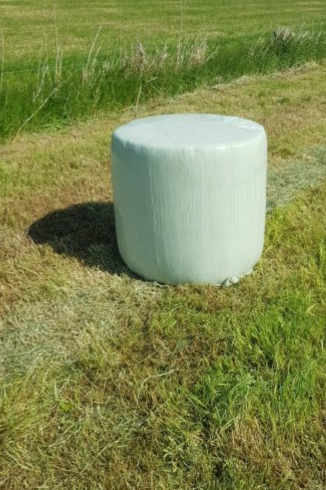 Midibalen hooi, Dieren en Toebehoren, Ophalen of Verzenden, Vee