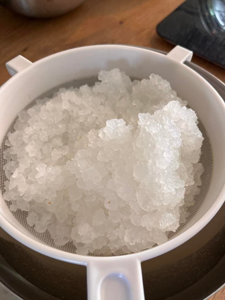 Water kefir korrels - gevoed met Bio suiker, Ophalen