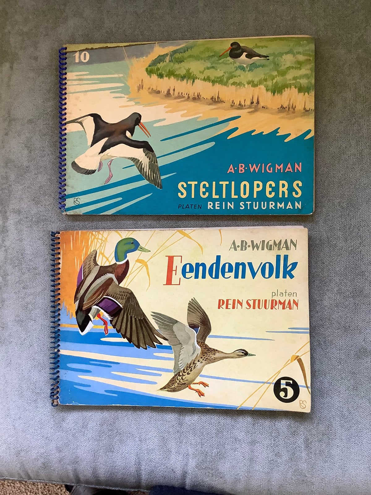 Eendenvolk en steltlopers - A.B. Wigman, Ophalen of Verzenden, Zo goed als nieuw, Bloemen, Planten en Bomen