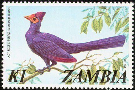 ZAMBIA 5 - Dieren: vogels (toerako), Ophalen of Verzenden, Postfris, Dier of Natuur
