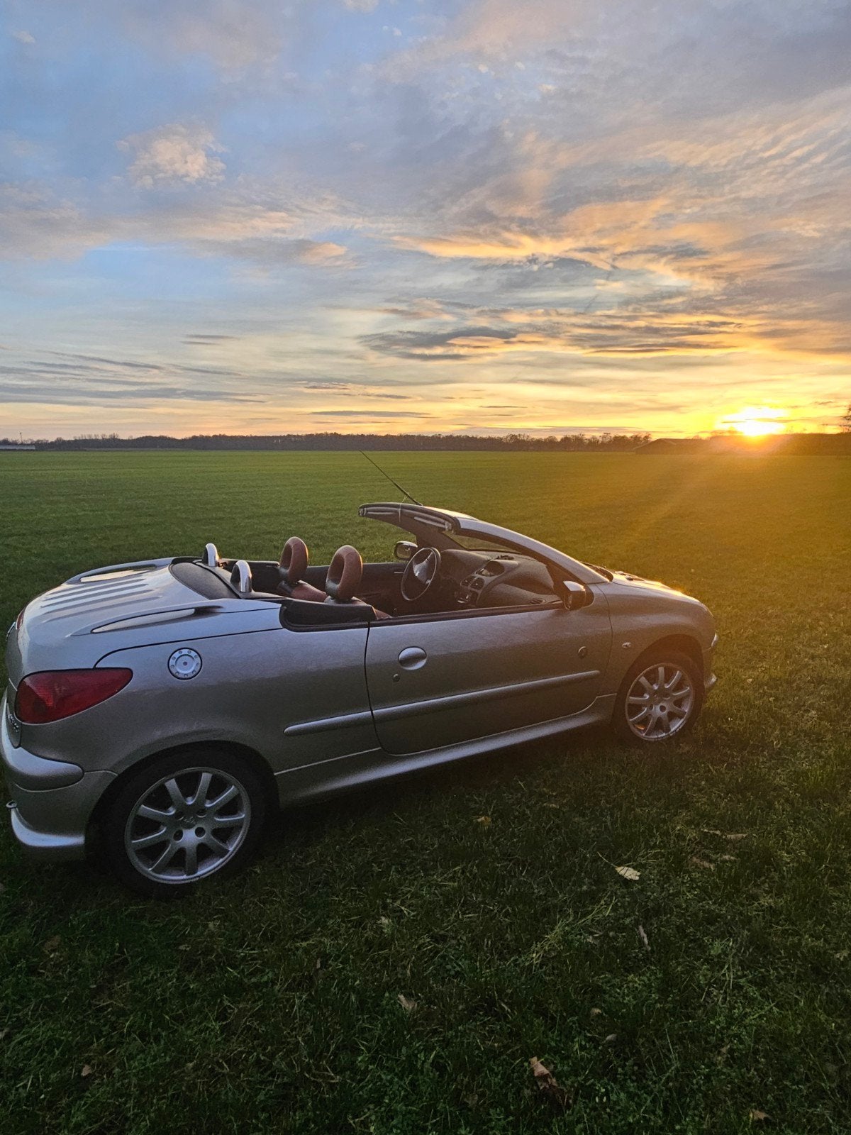 Peugeot 206 Cabrio 2005, Ophalen