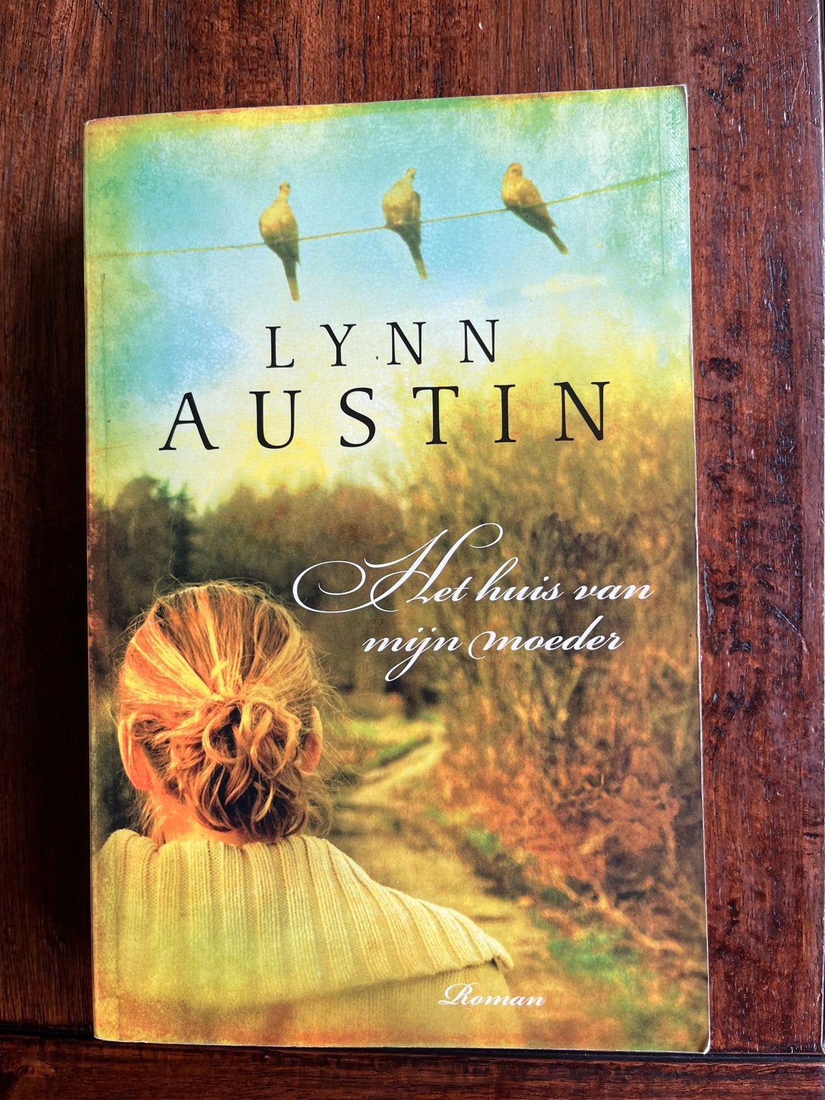 Het huis van mijn moeder - Lynn Austin Roman, Ophalen of Verzenden, Gelezen, Nederland