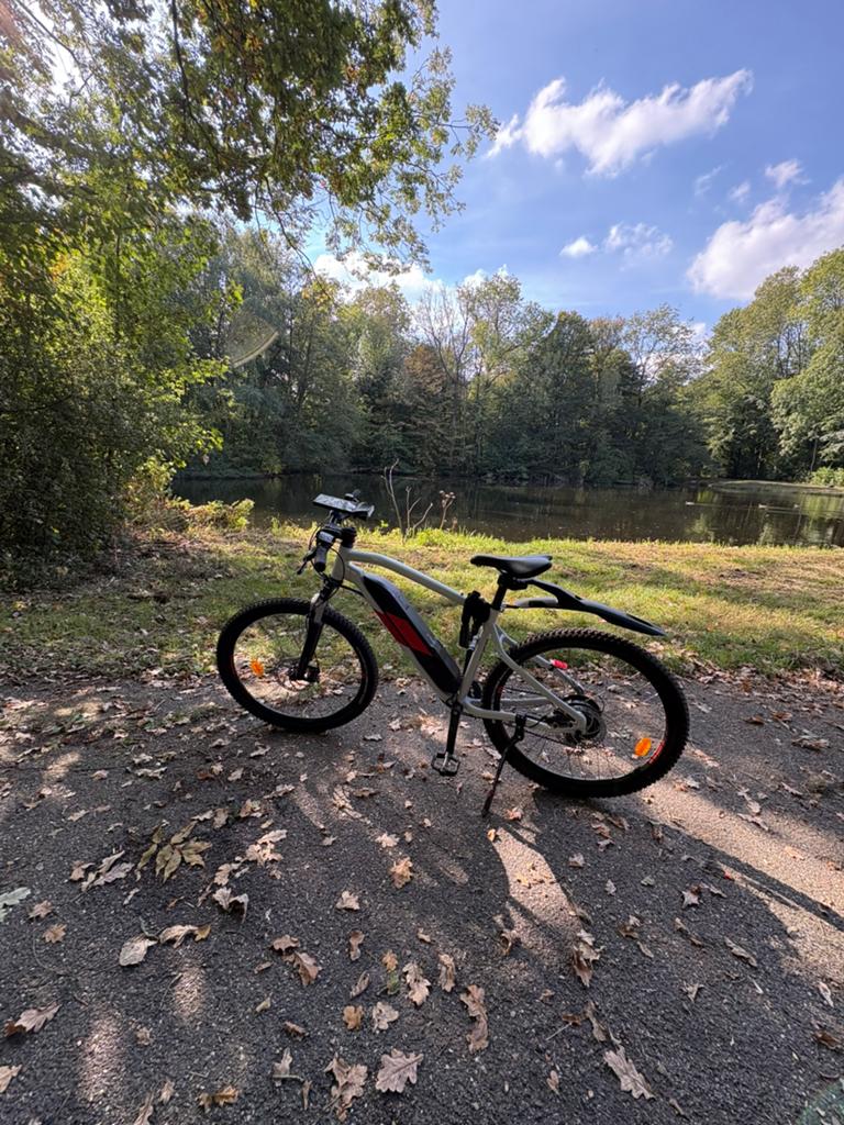 Rockrider st100         Elektrische fietsen., Overige merken, Ophalen of Verzenden, Zo goed als nieuw, 47 tot 51 cm