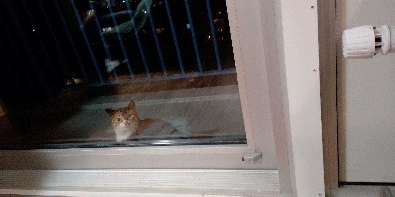 katten