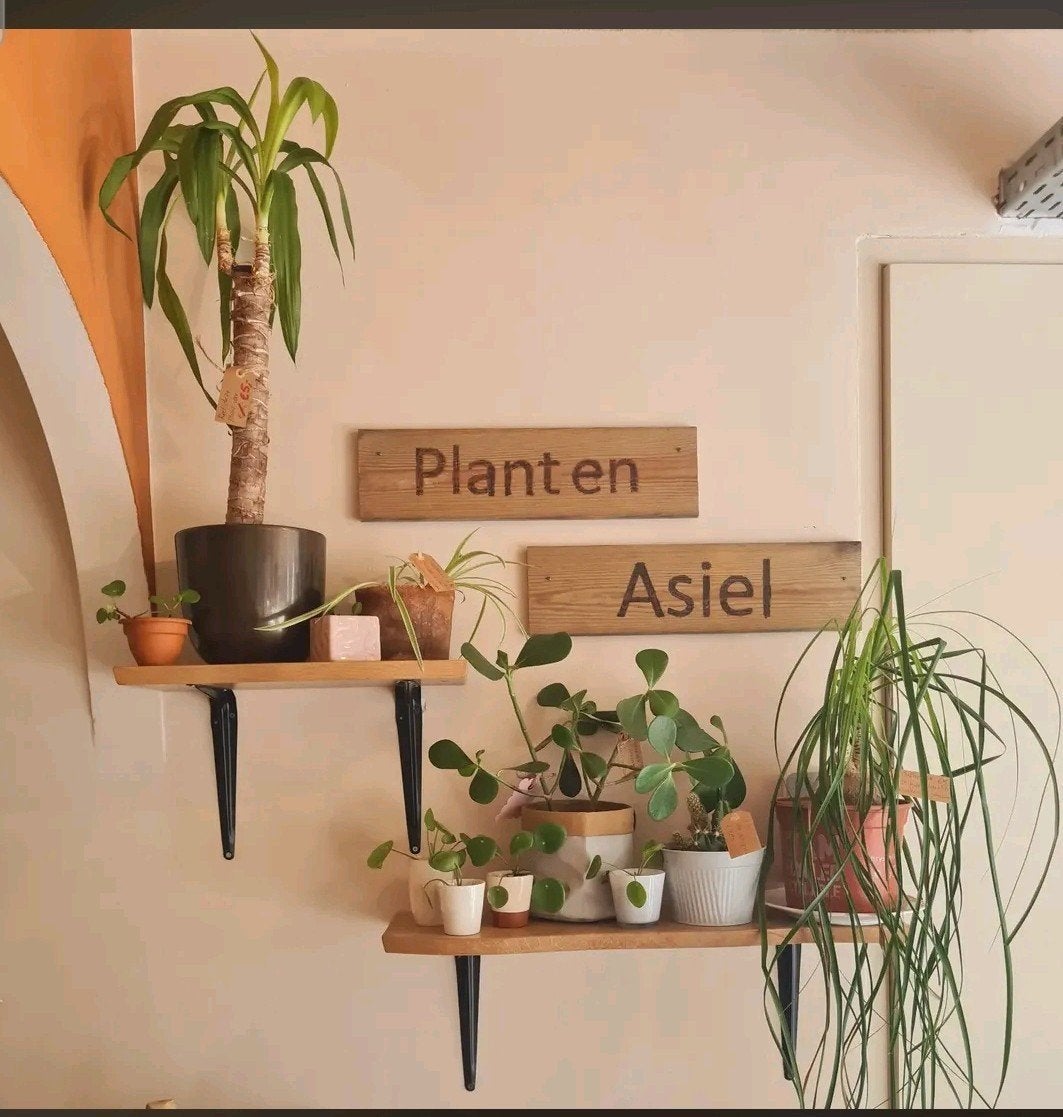 Kom een plant ruilen!, Ophalen