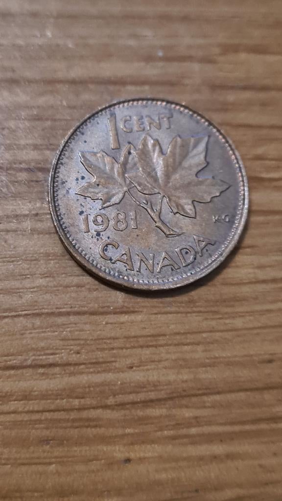 Canada - 1 Cent 1981, Verzenden, Noord-Amerika, Losse munt