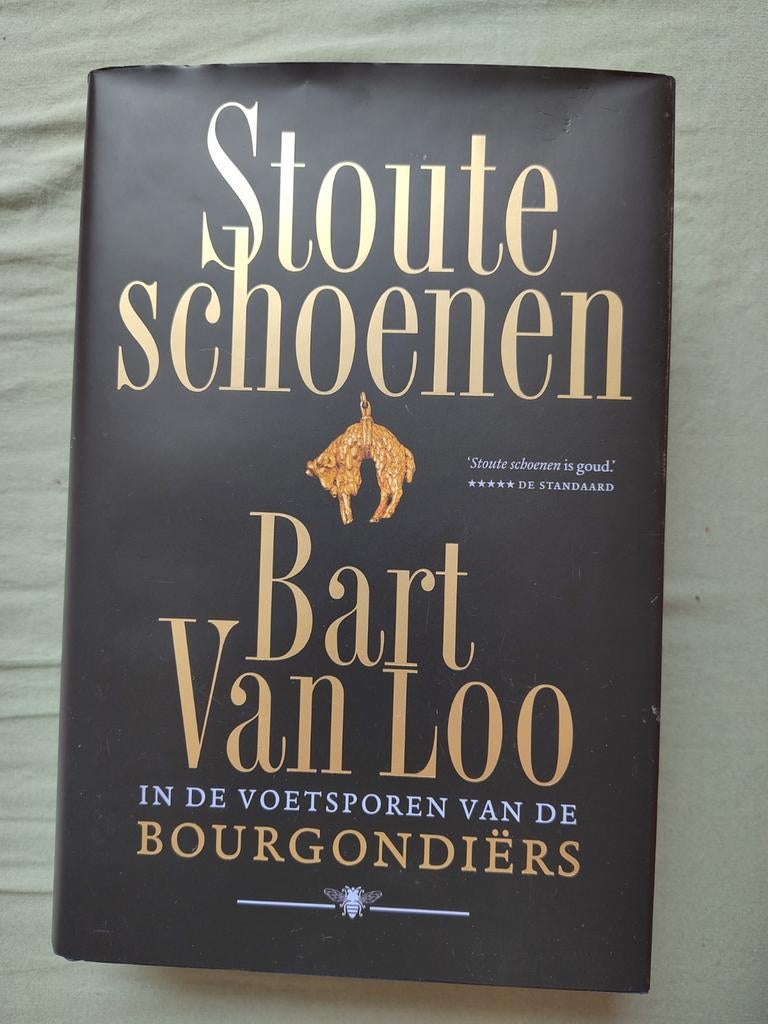 Bart van Loo - Stoute schoenen, Boeken, Overige Boeken, Zo goed als nieuw, Ophalen of Verzenden