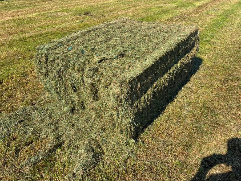 Gesneden kuilgras gewikkeld, droog, en van bemest land., Ophalen