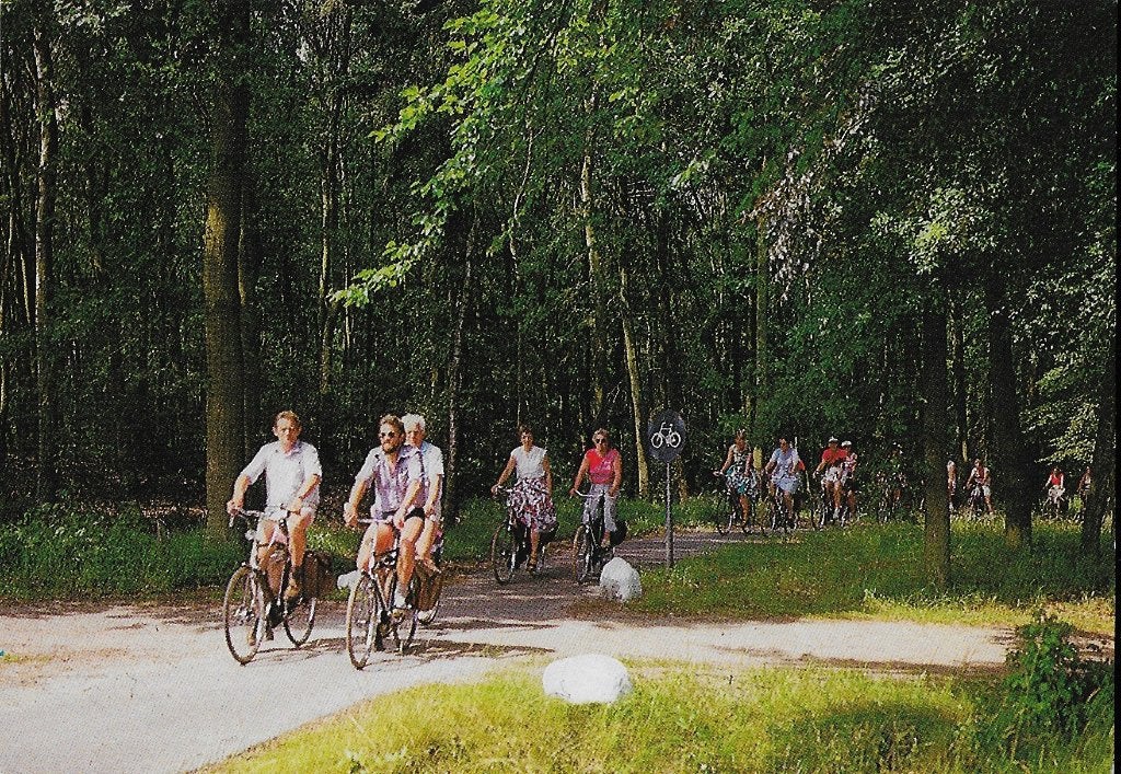 z762 ongelopen ansichtkaart Gasselte fietspad door de bossen, Ophalen of Verzenden, 1980 tot heden, Ongelopen
