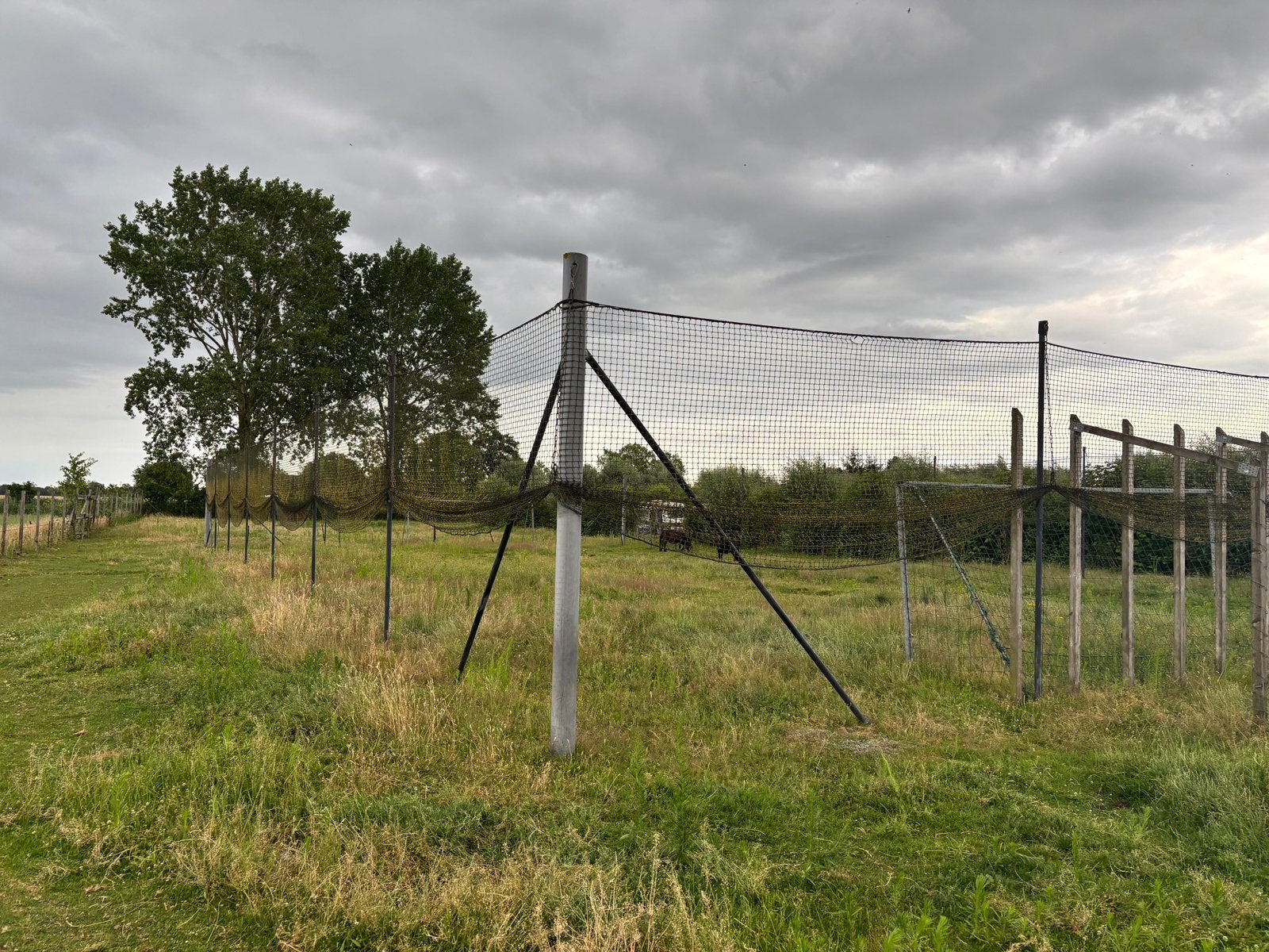 Voetbal kooi met fijnmazig net en doelen, Ophalen, Gebruikt