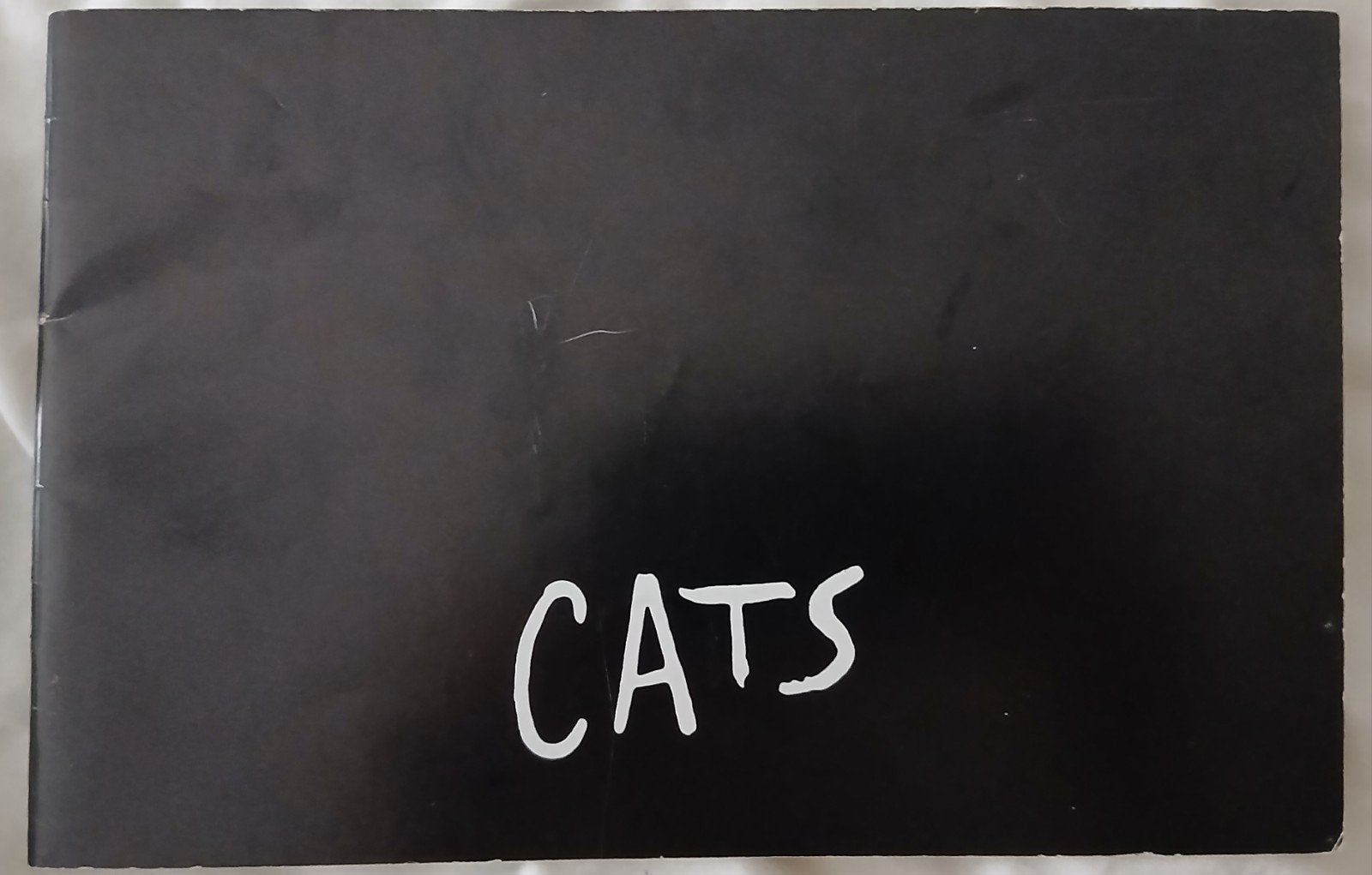Cats Musical Programma Boekje, Boeken, Ophalen of Verzenden, Ballet of Musical