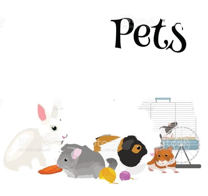 opvang voor dieren in een kooi, Maart, Meerdere dieren