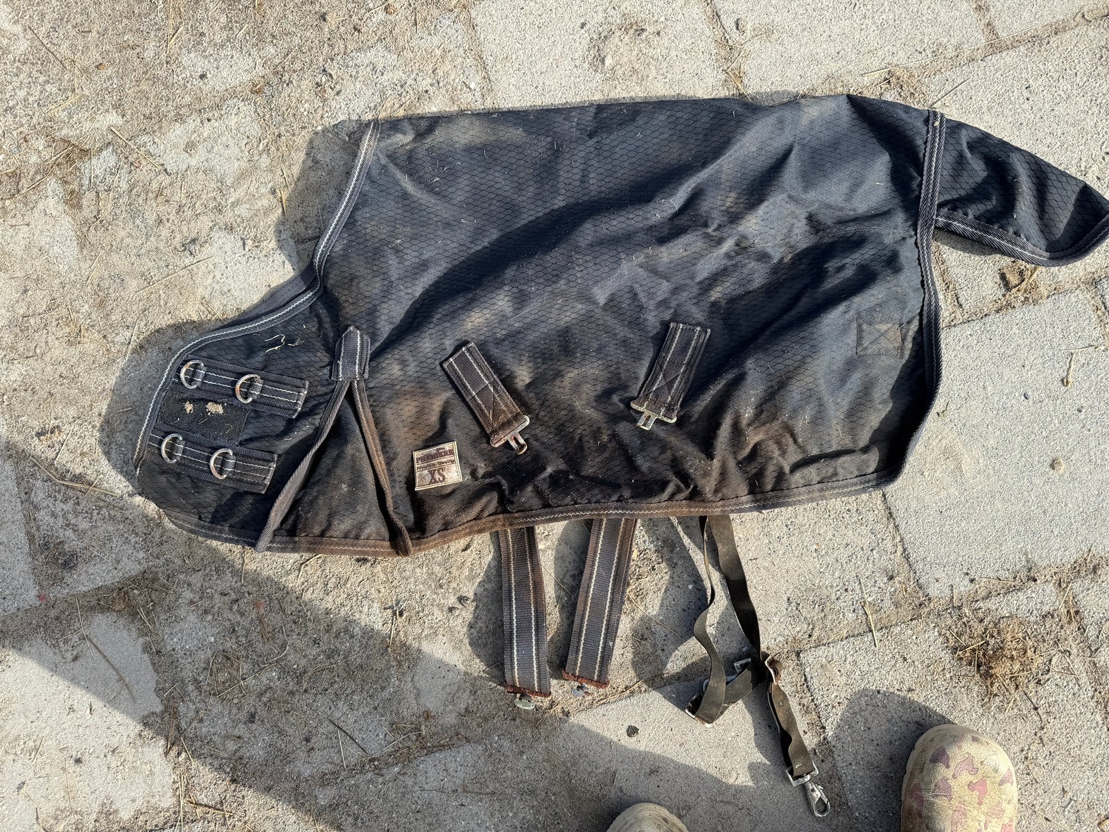 0 grams regendeken mini shet, Dieren en Toebehoren, Ophalen of Verzenden, Gebruikt