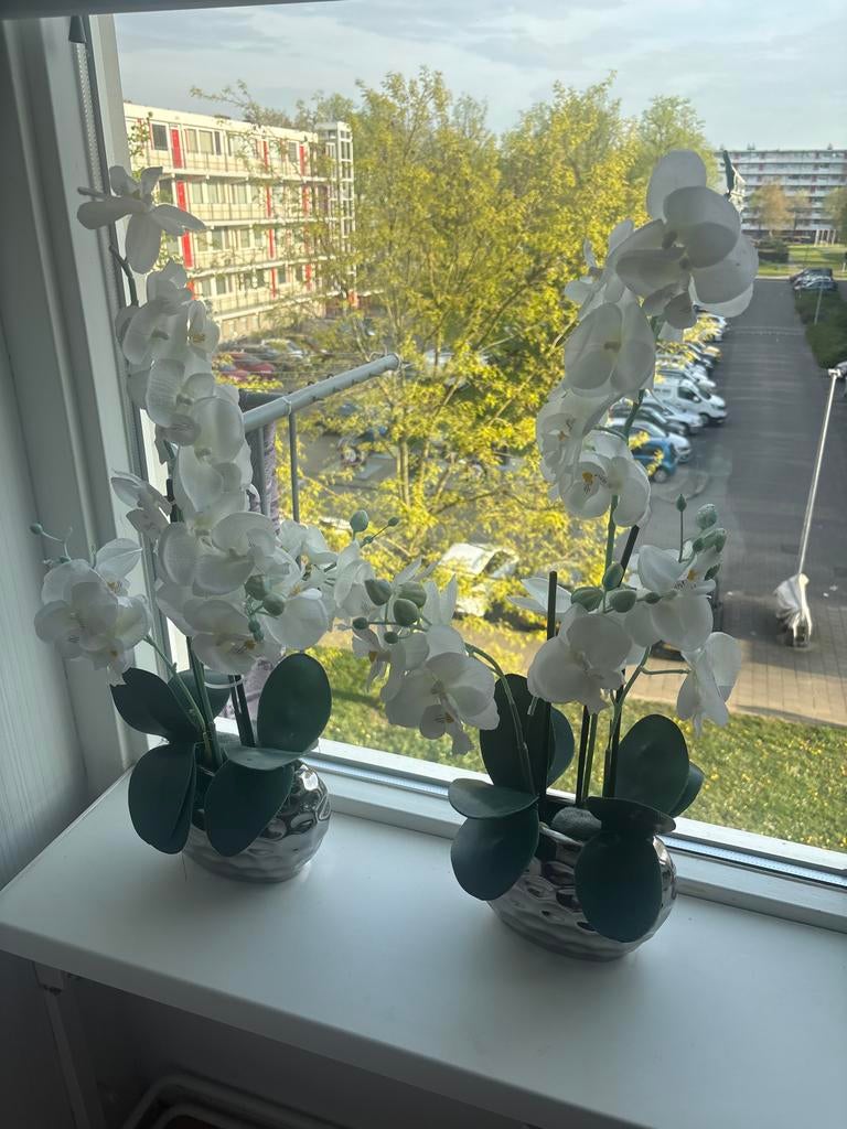 Twee witte kunst orchideeën in zilverkleurige pot, Ophalen, Binnen, Kunstplant, Kunststof