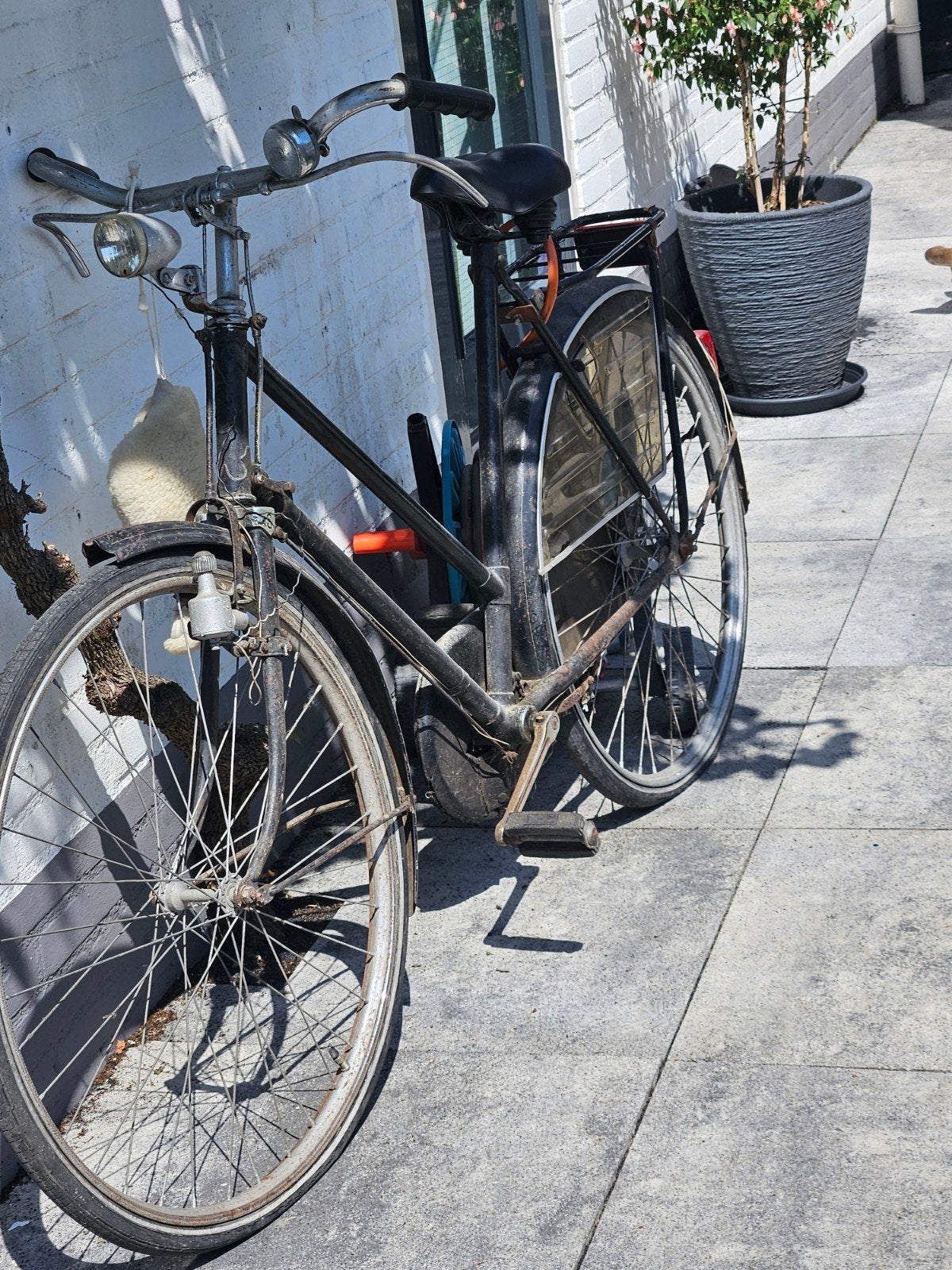 Oltimerfiets, Ophalen, 55 tot 59 cm, Trommelrem, Simplex